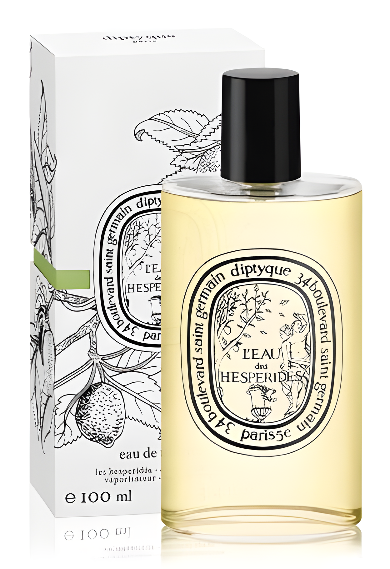 L'eau Des Hesperides by Diptyque perfume bottle