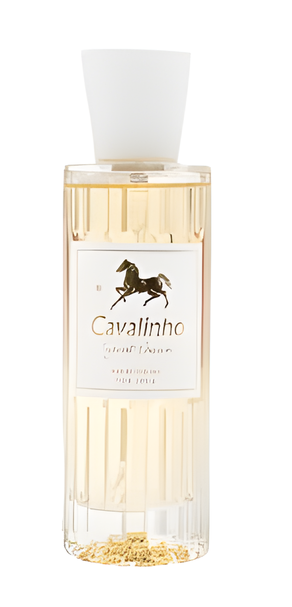 Secret Passion for Her by Cavalinho perfume bottle