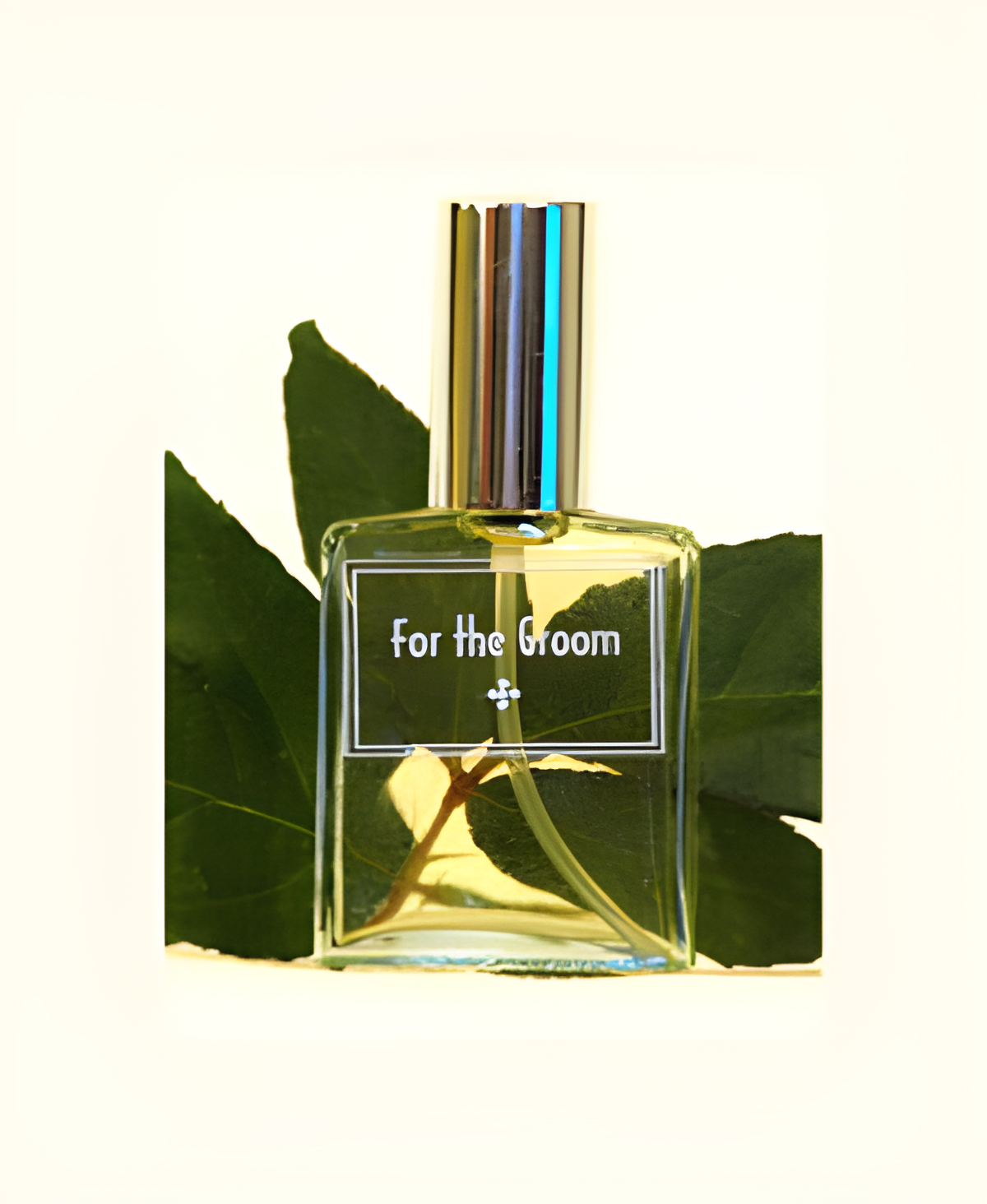 For the Groom by DSH Perfumes perfume bottle