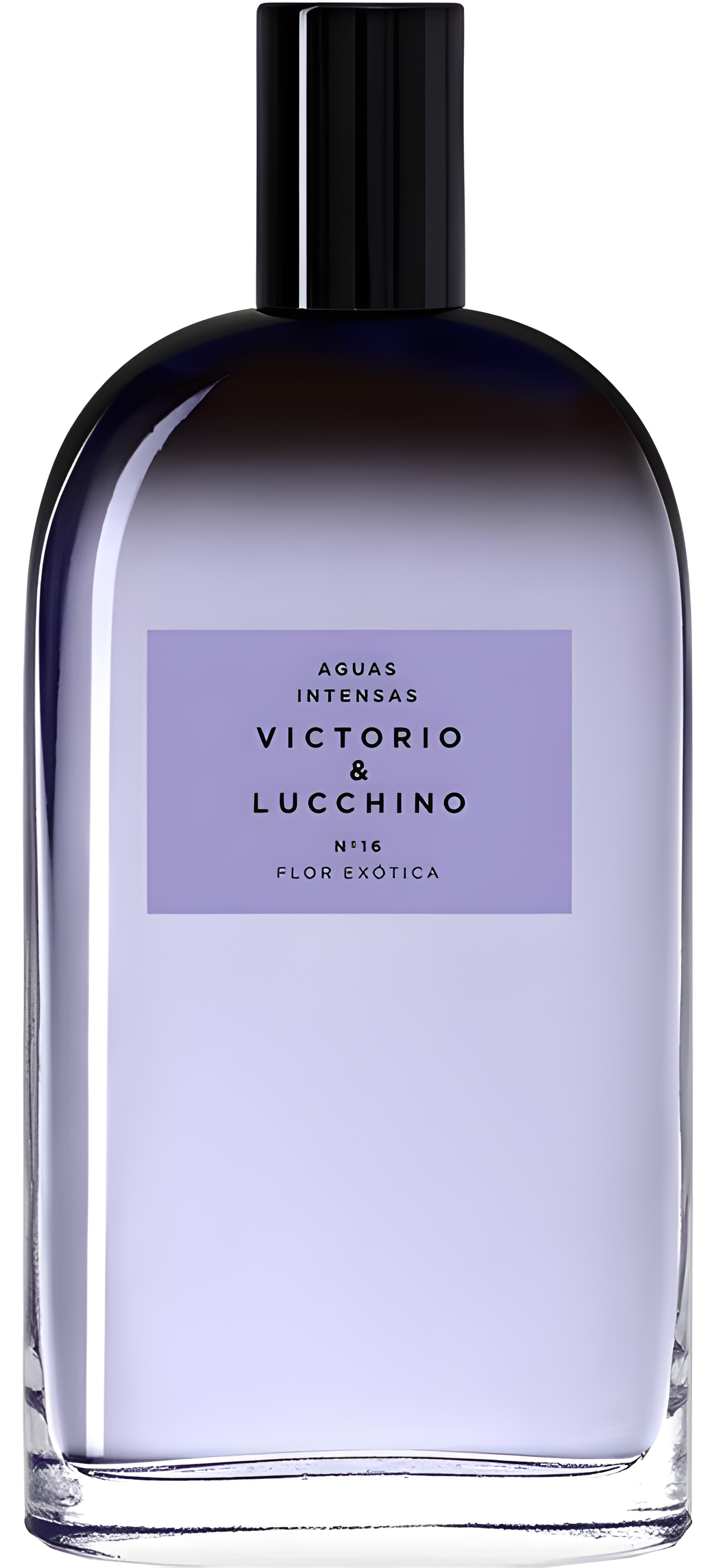 N° 16 Flor Exótica by Victorio & Lucchino perfume bottle