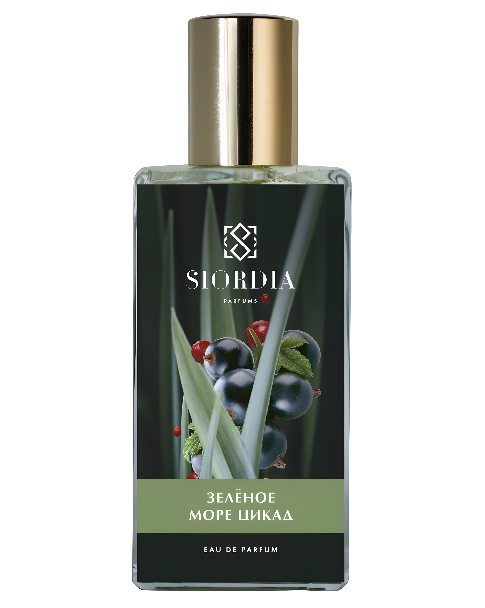 The Green Sea of Сicadas (Зеленое Море Цикад) by Siordia Parfums perfume bottle