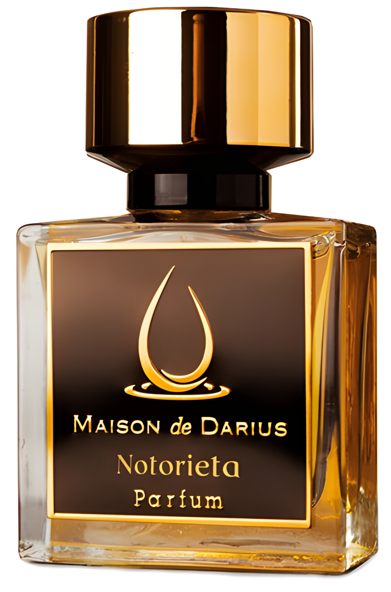 Notorieta by Maison de Darius perfume bottle
