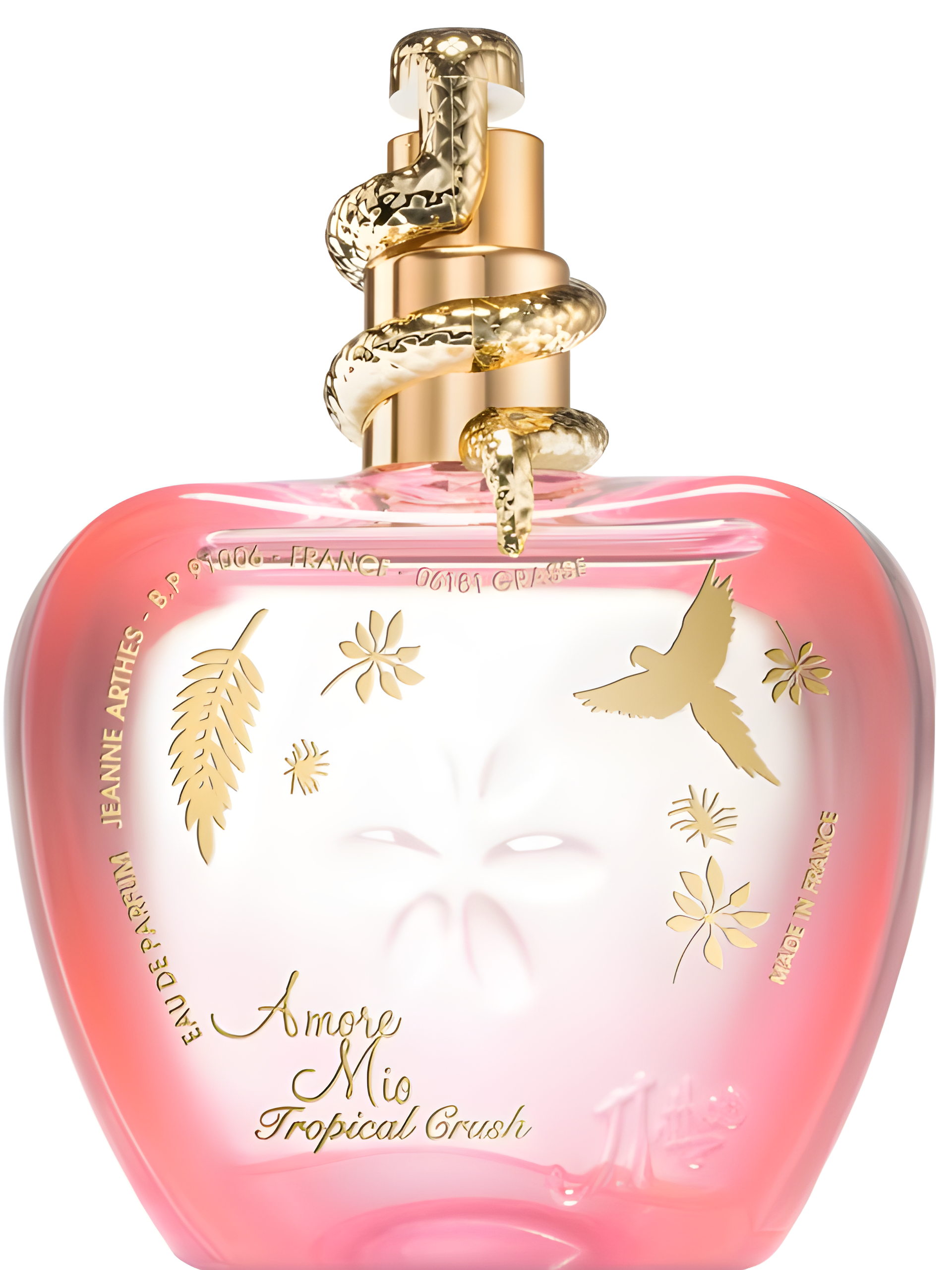 Amore Mio Tropical Crush by Jeanne Arthes perfume bottle