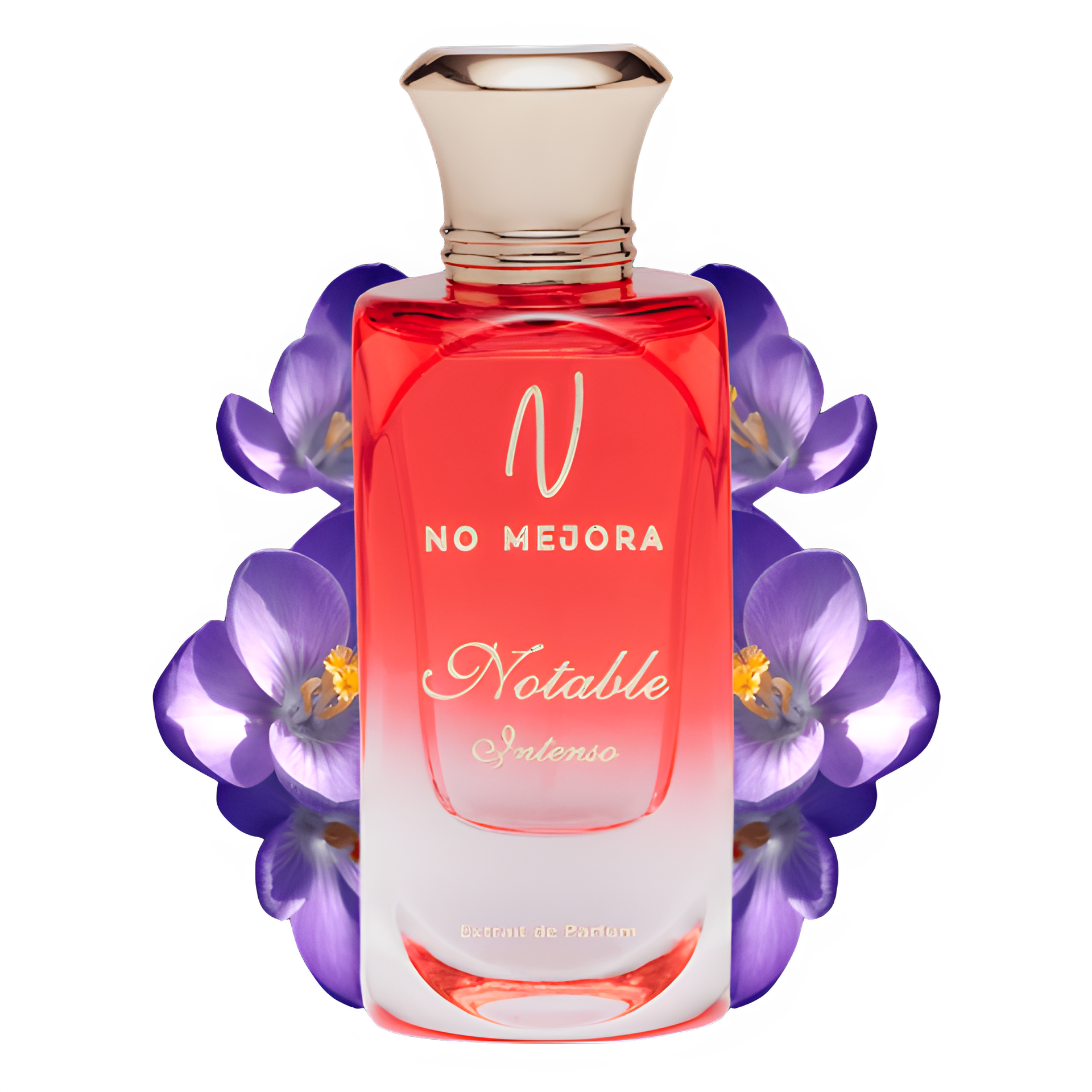Notable Intenso by No Mejora perfume bottle