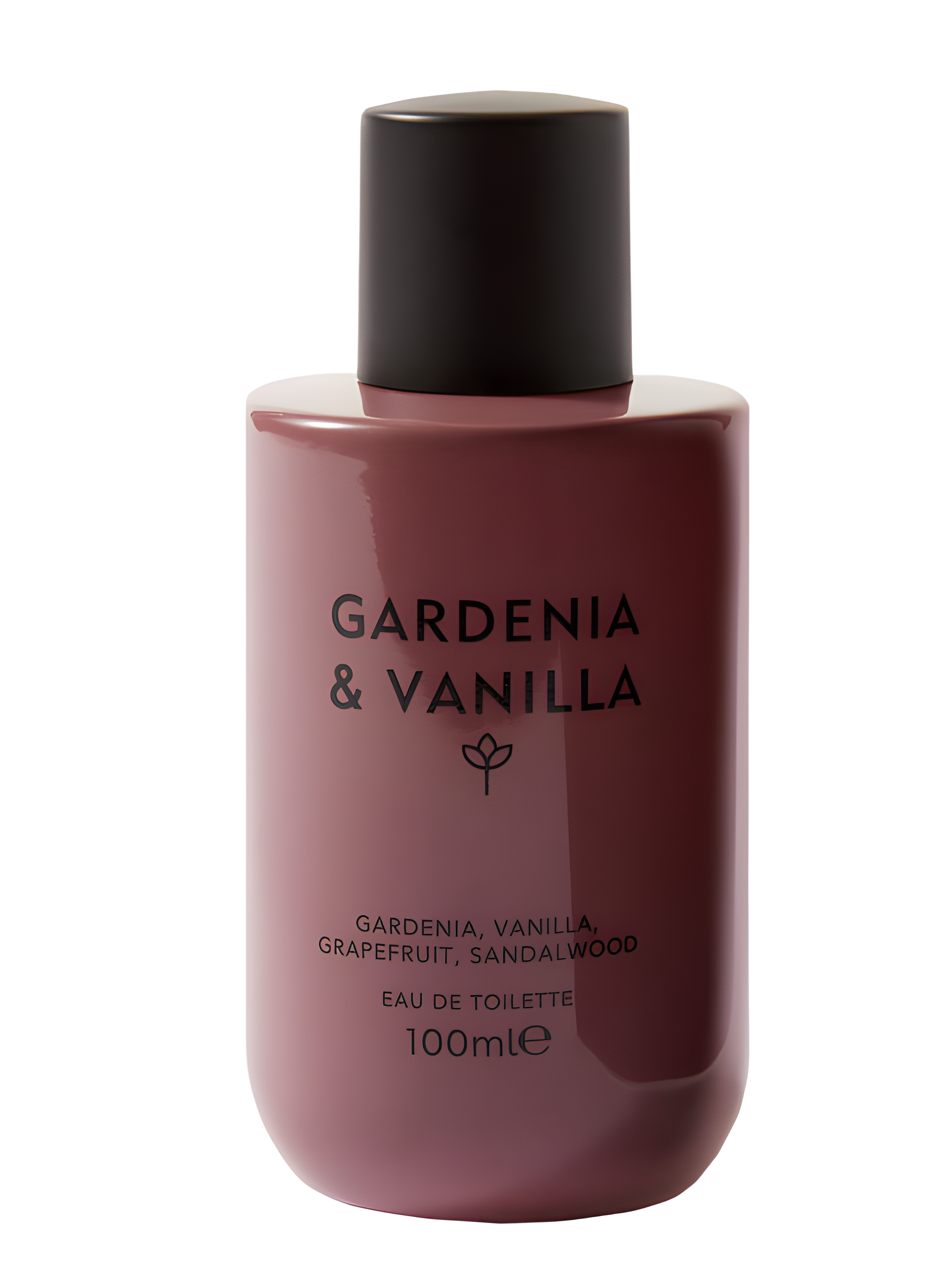 Gardenia & Vanilla by Marks & Spencer perfume bottle