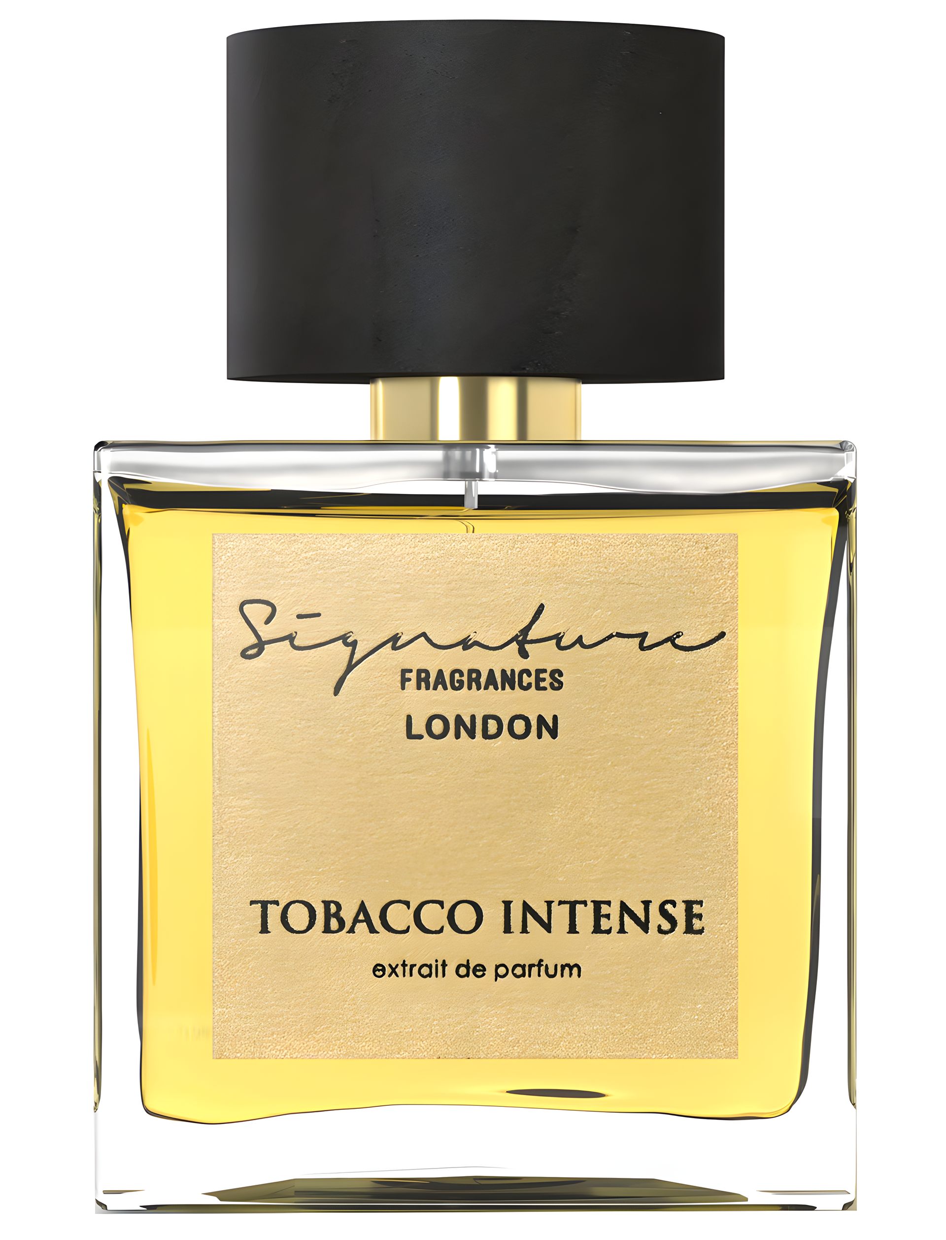Tobacco Intense by Signature Fragrances perfume bottle