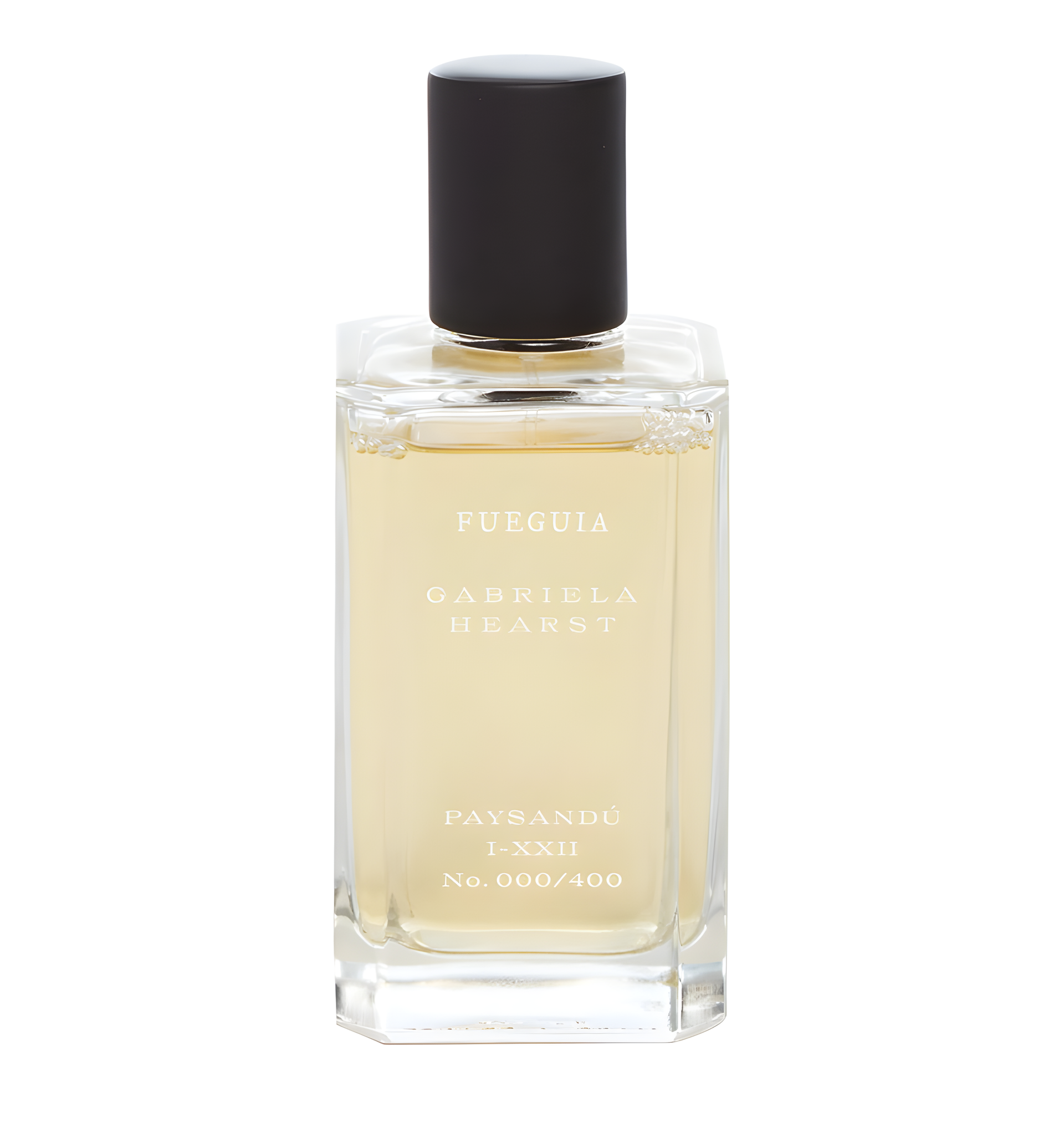Paysandú (Gabriela Hearst) by Fueguia 1833 perfume bottle