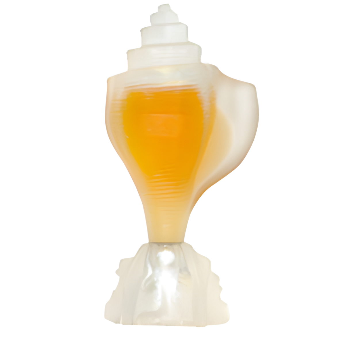 Conch Los Cabos by Seajewels perfume bottle