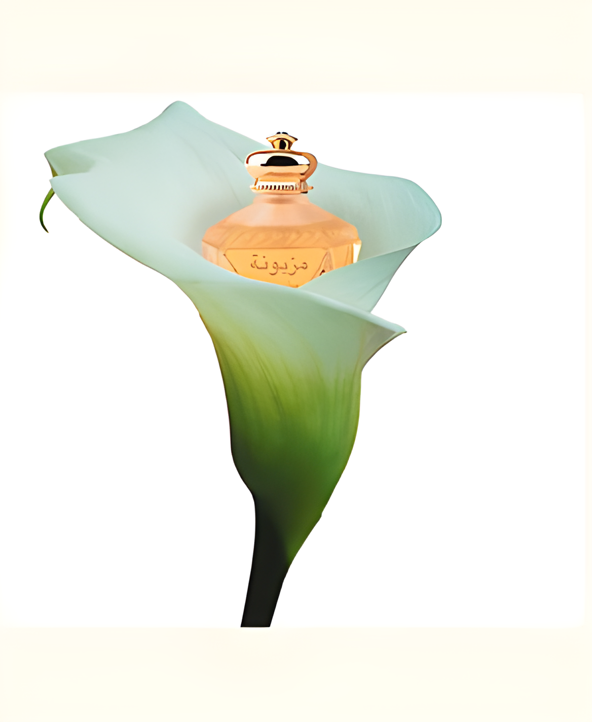 Mezyuna by Rasasi perfume bottle