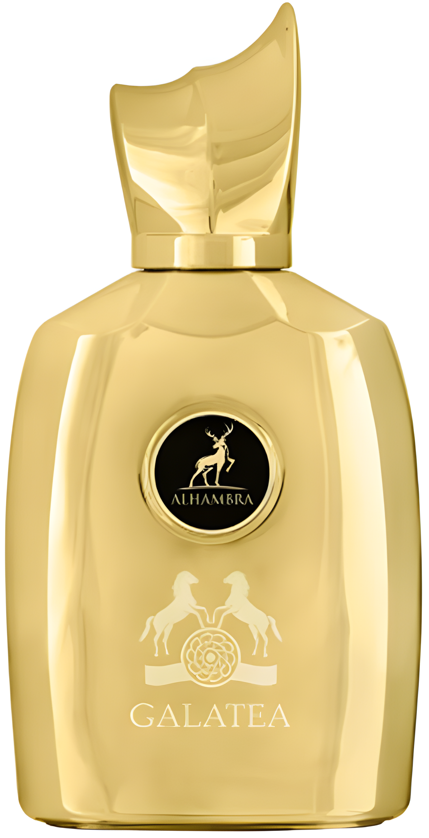Galatea by Maison Alhambra perfume bottle