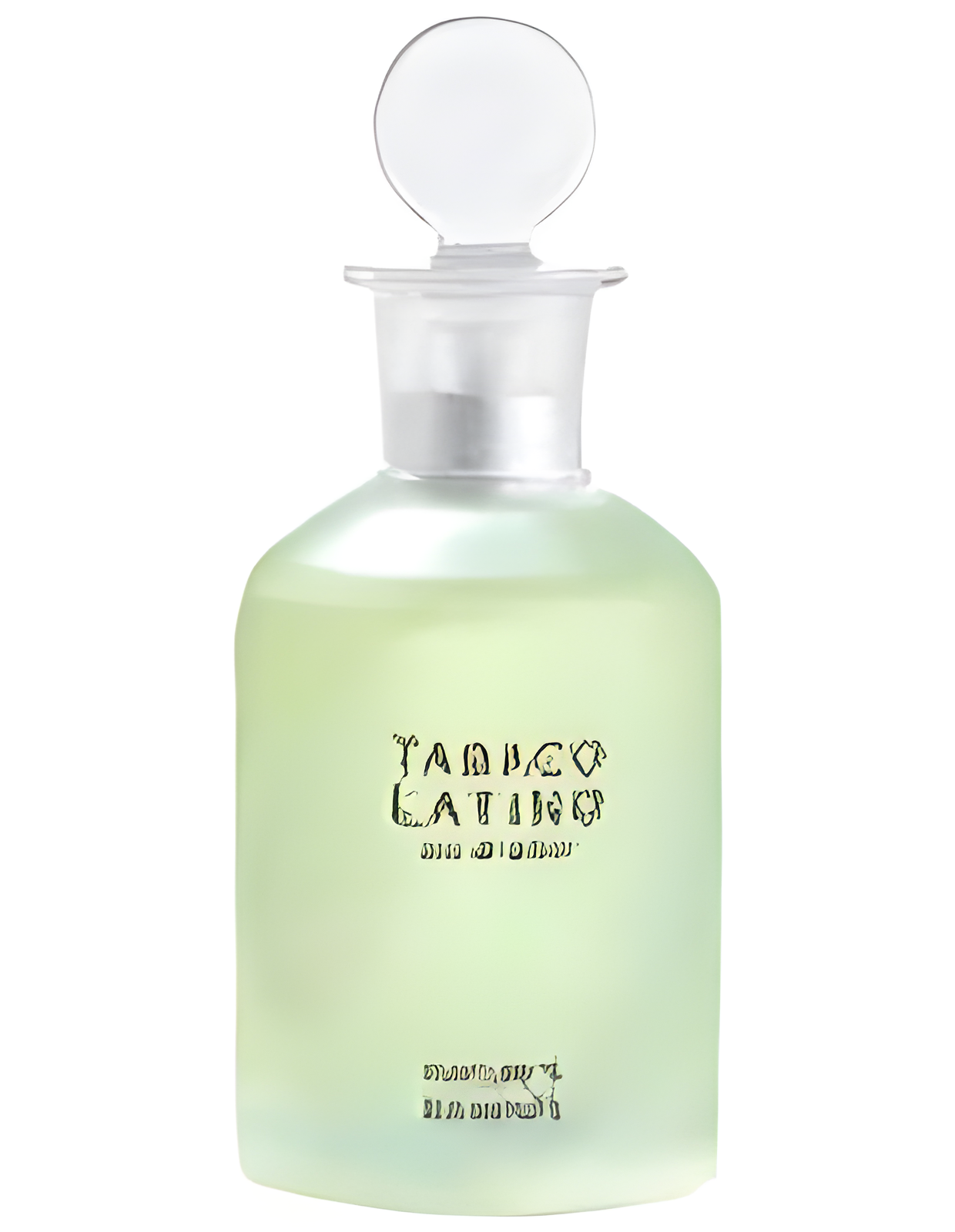 Tabaco Latino by Monotheme Venezia perfume bottle