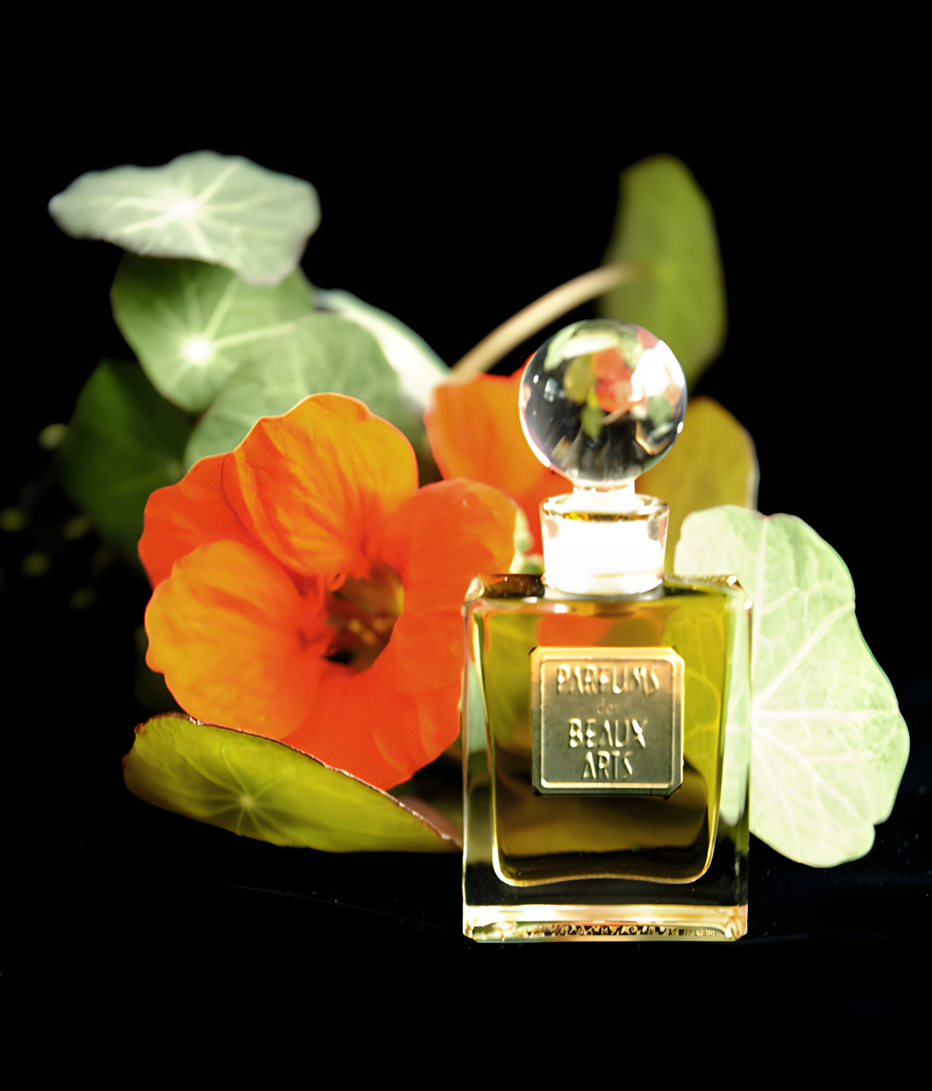 Eau de Coquette (The Perfumed Court; Natural) by DSH Perfumes perfume bottle