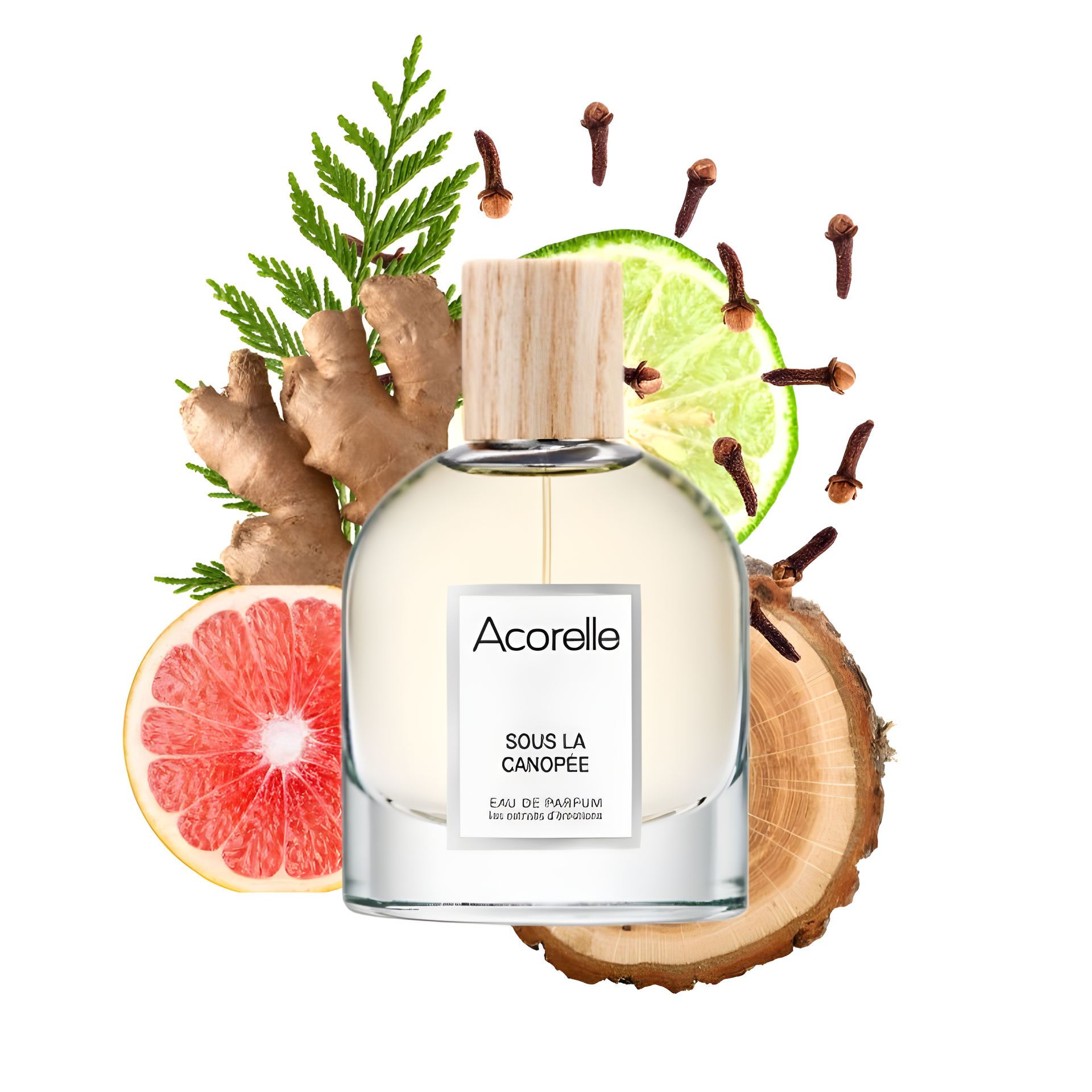 Sous La Canopée by Acorelle perfume bottle