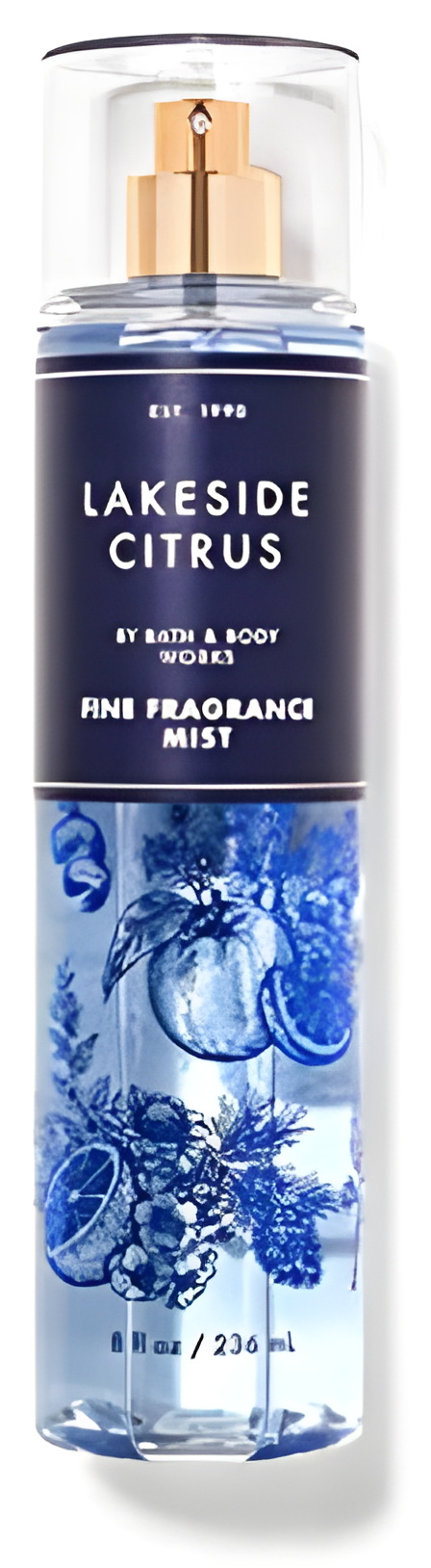 Lakeside Citrus by Bath & Body Works perfume bottle