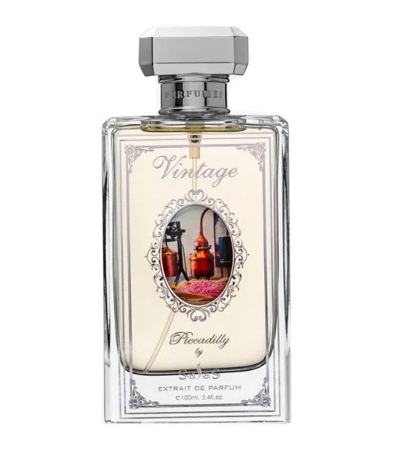 Vintage by Salas perfume bottle