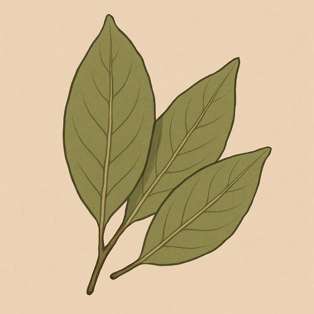 Picture of Bay Leaf note