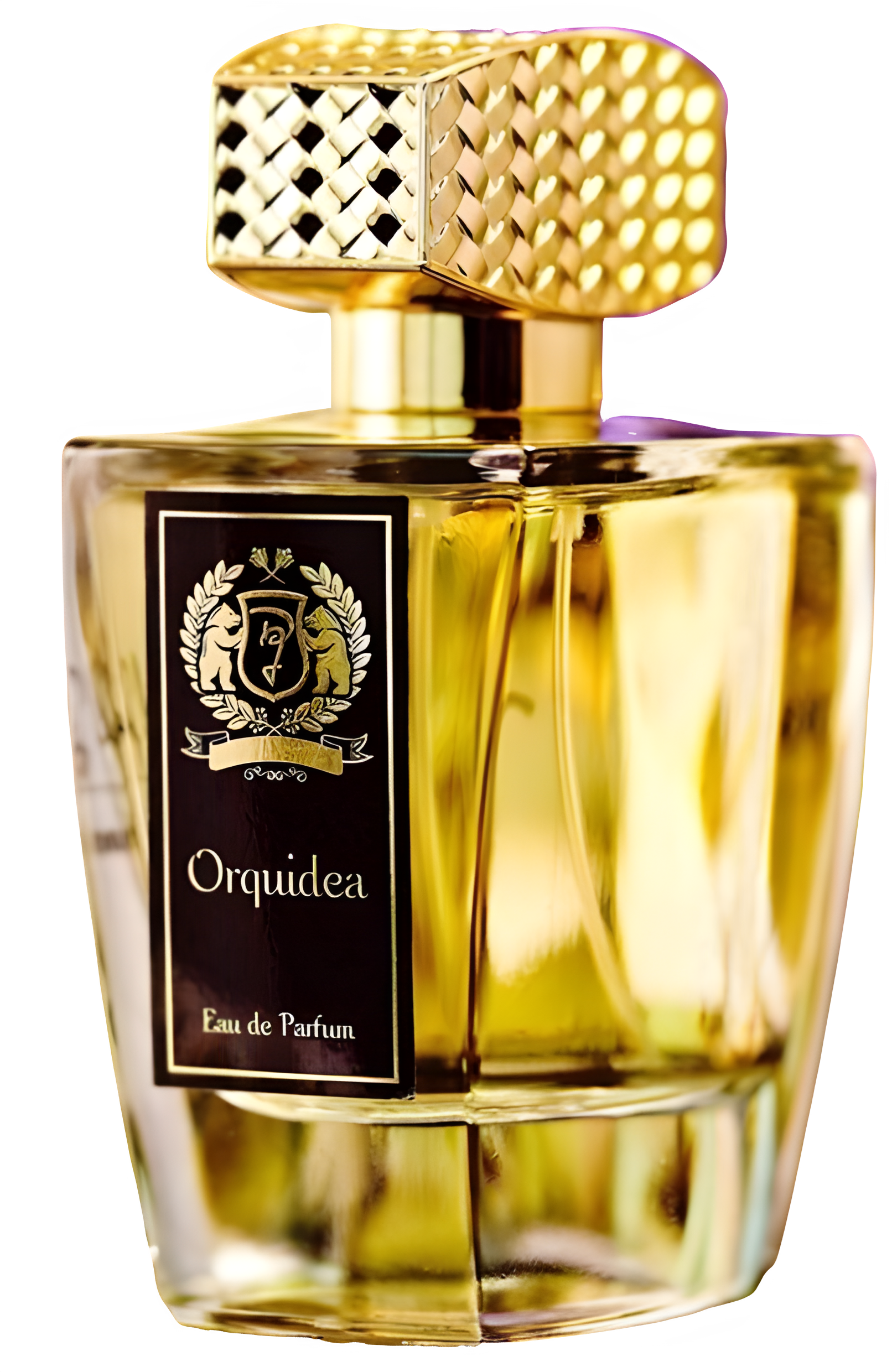 Orquidea by Daniel Josier perfume bottle