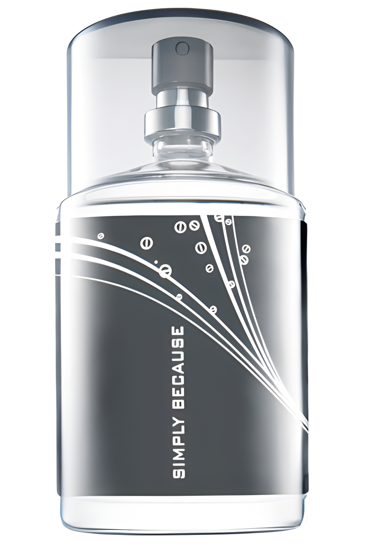 Simply Because for Him by Avon perfume bottle