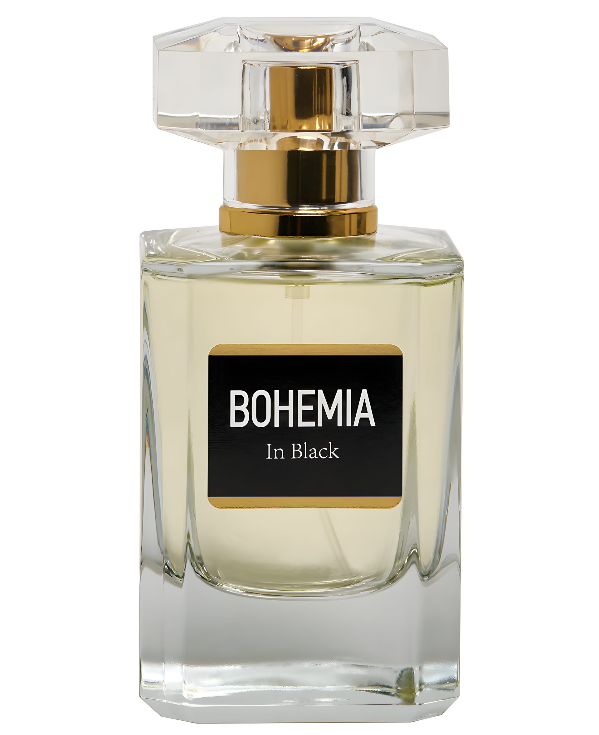 Bohemia in Black by Parfums Constantine perfume bottle