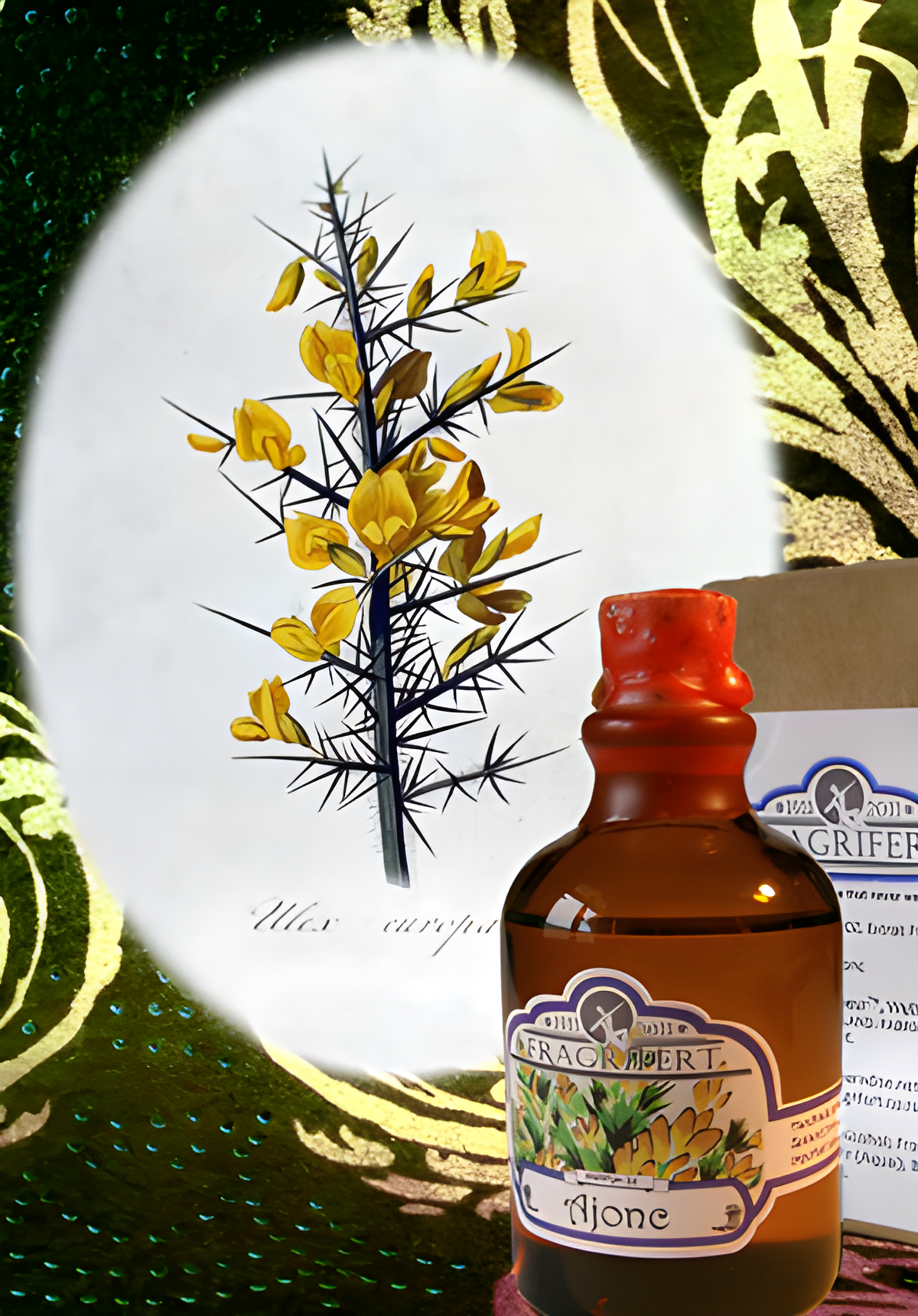 Ajonc by Fragrifert Parfumeur perfume bottle