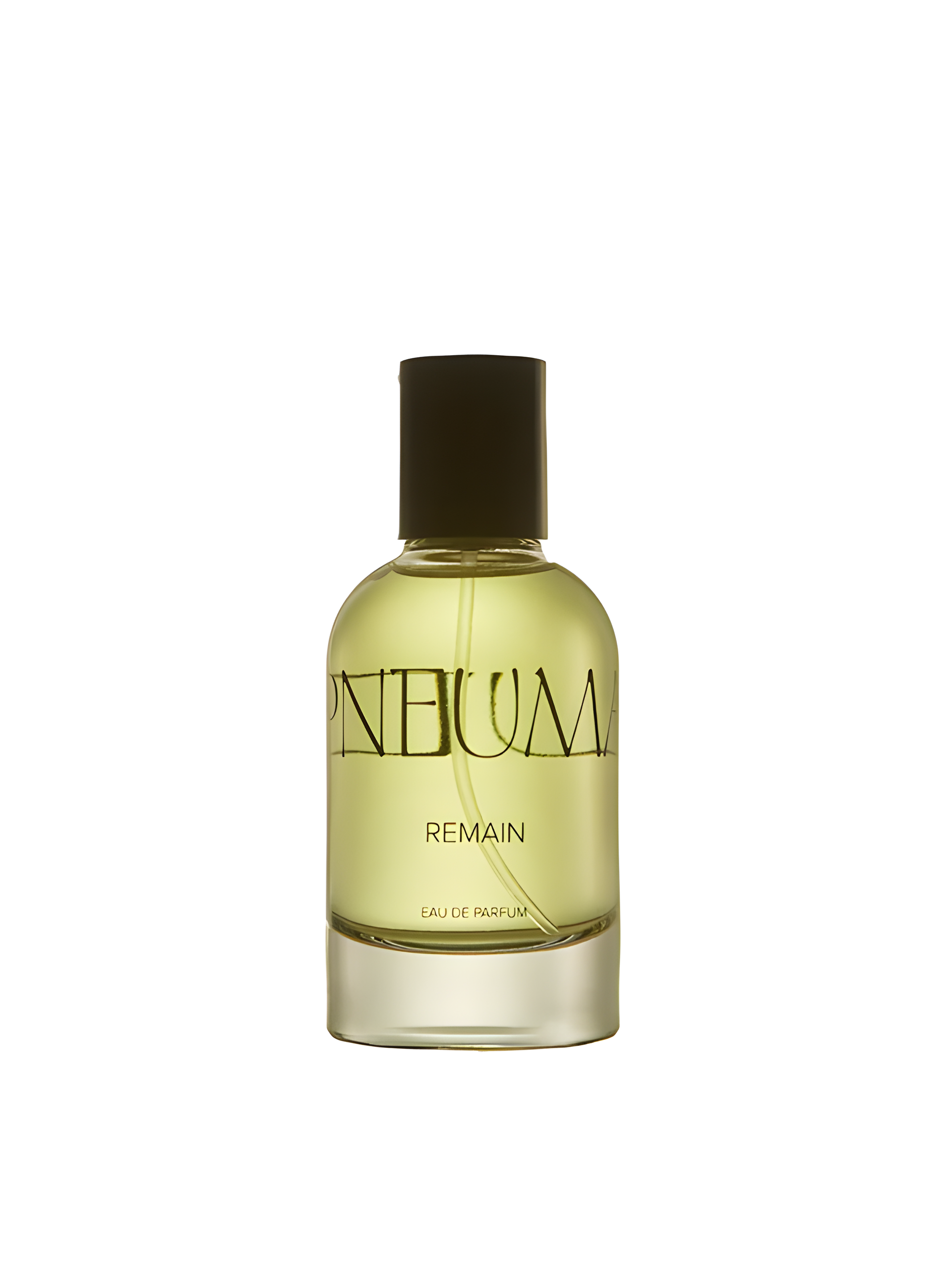 Remain by Studio Pneuma perfume bottle