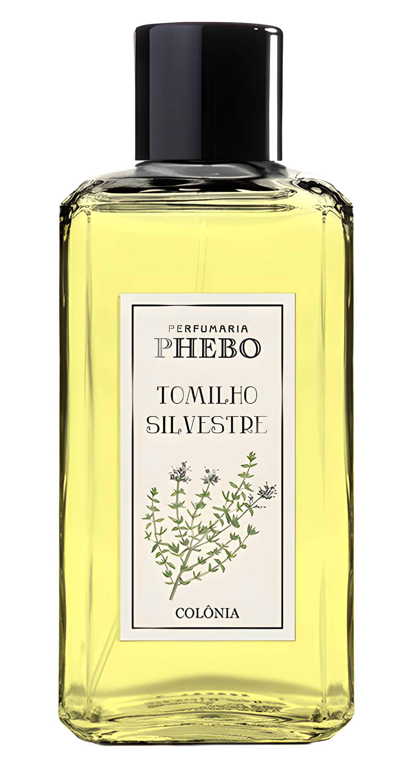 Tomilho Silvestre by Phebo perfume bottle
