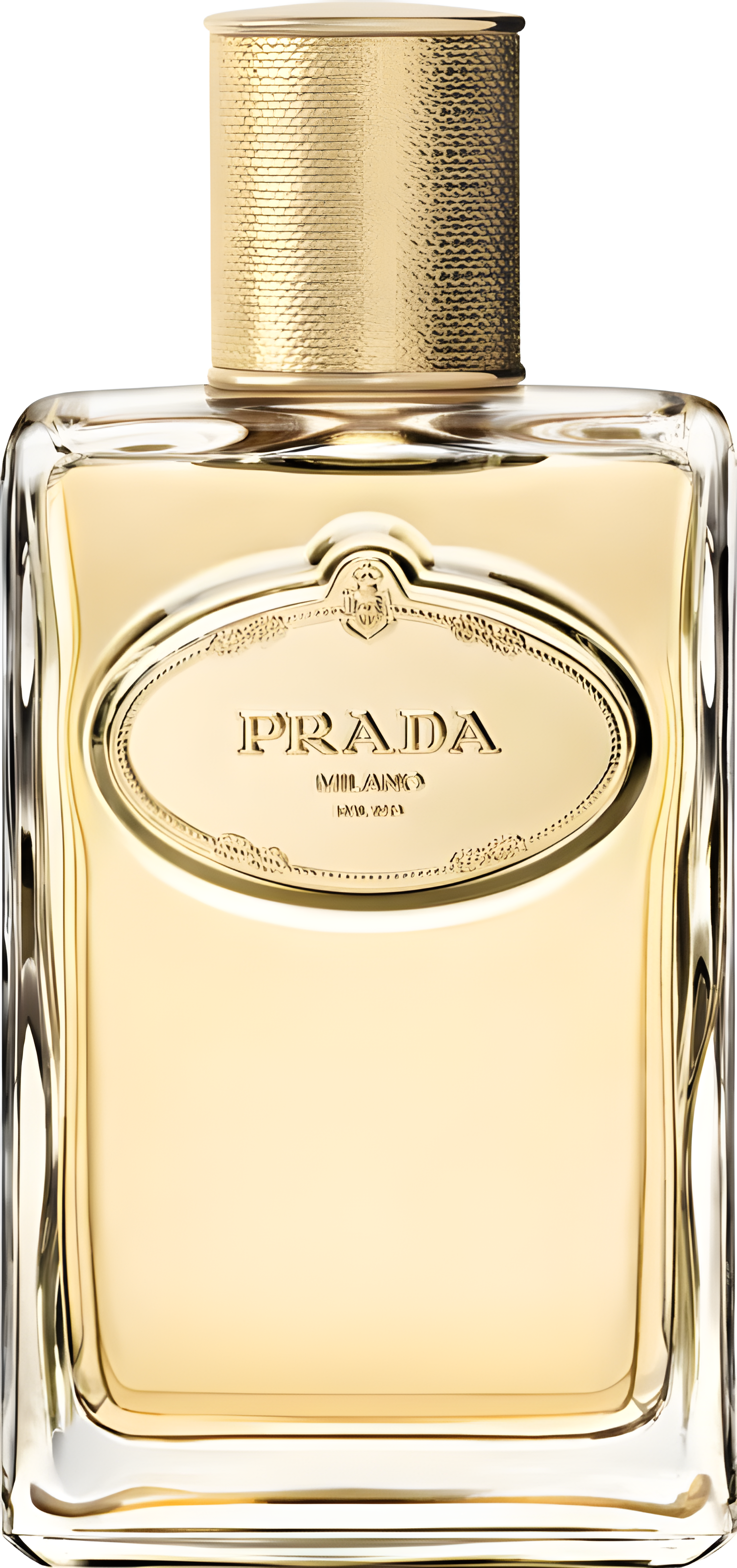 Infusion d'Iris Eau de Parfum Absolue by Prada perfume bottle