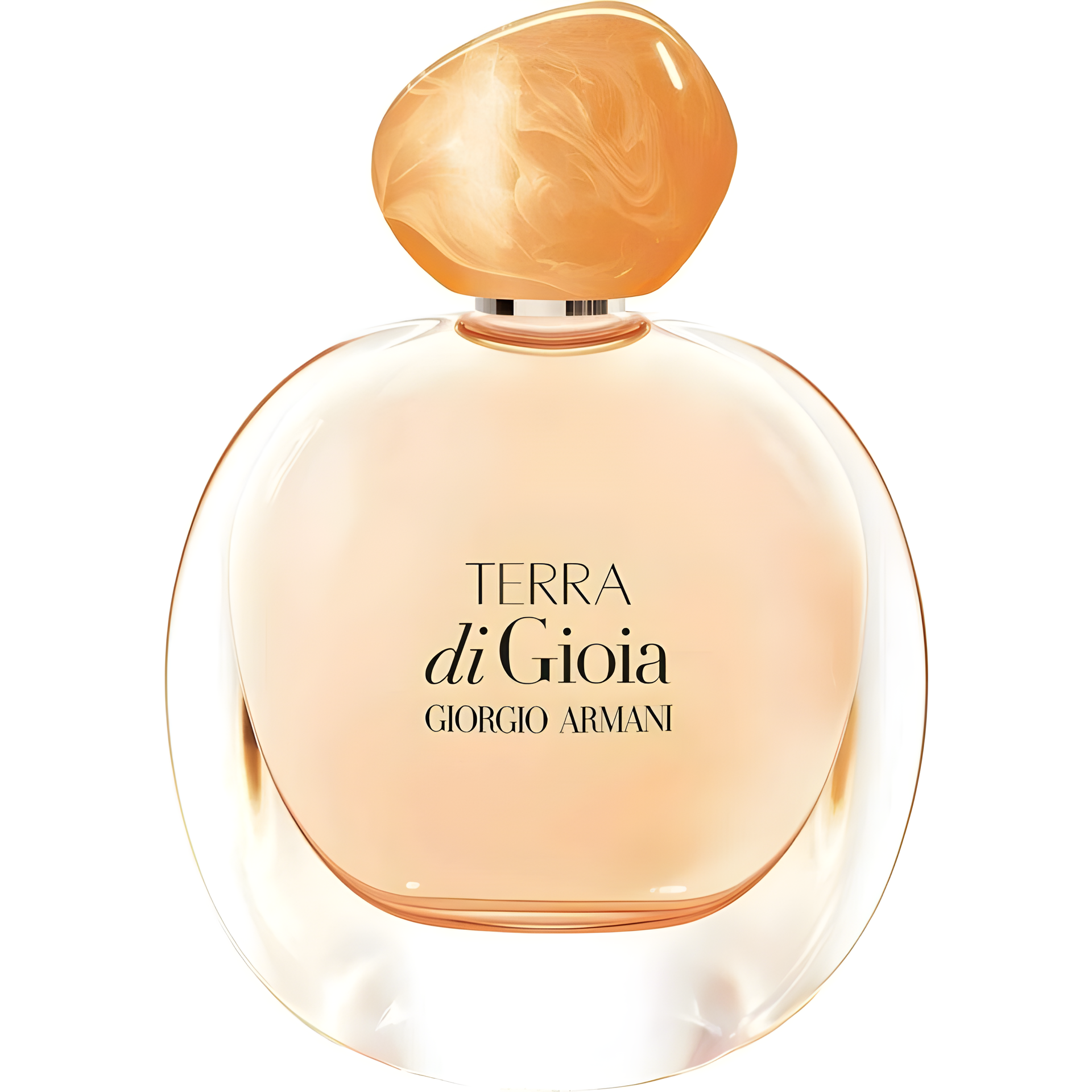 Terra Di Gioia by Giorgio Armani perfume bottle