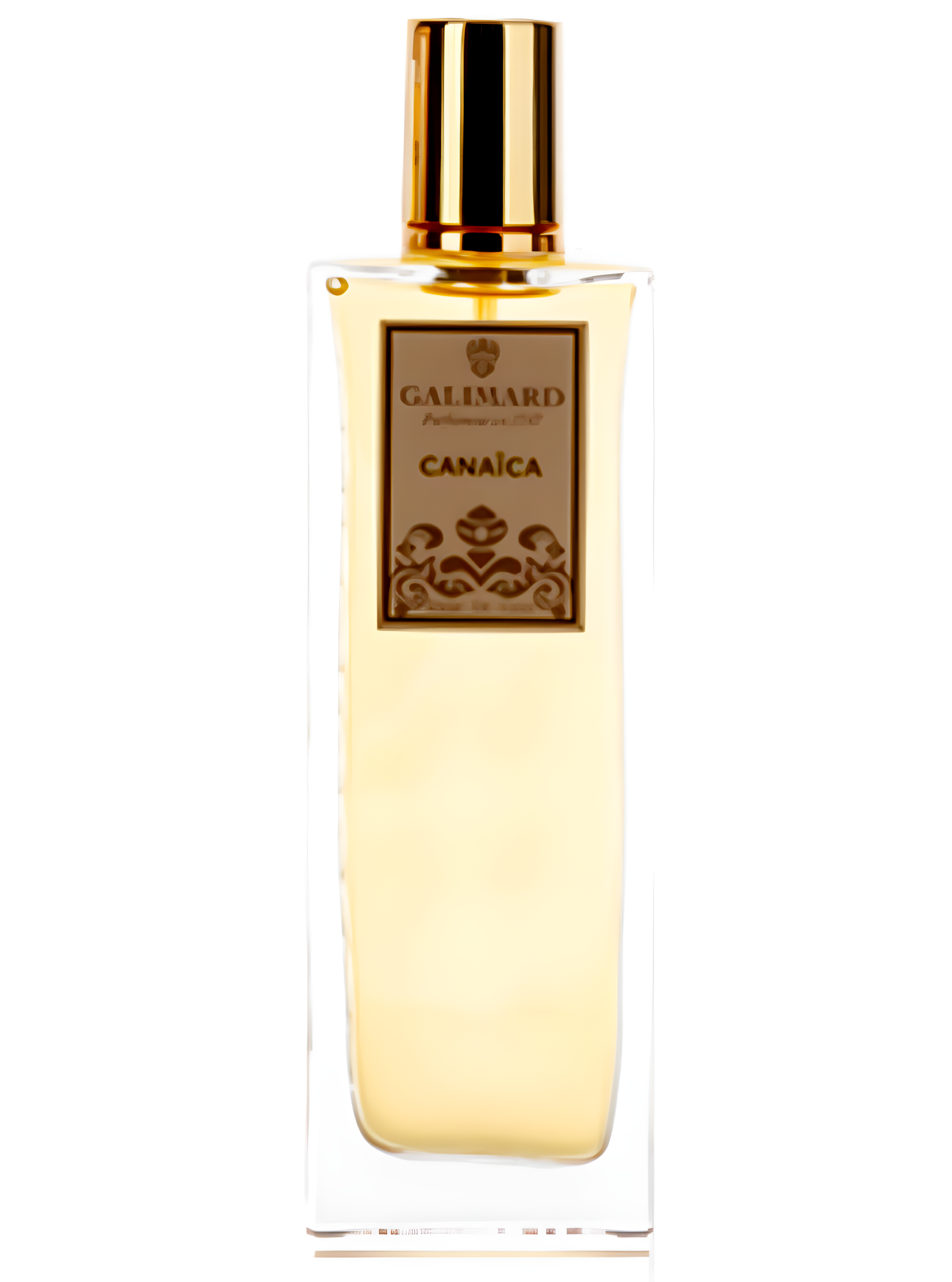 Canaica by Galimard perfume bottle