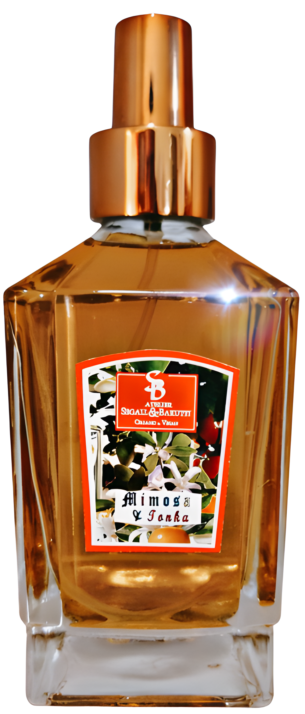 Mimosa & Tonka by Atelier Segall & Barutti perfume bottle