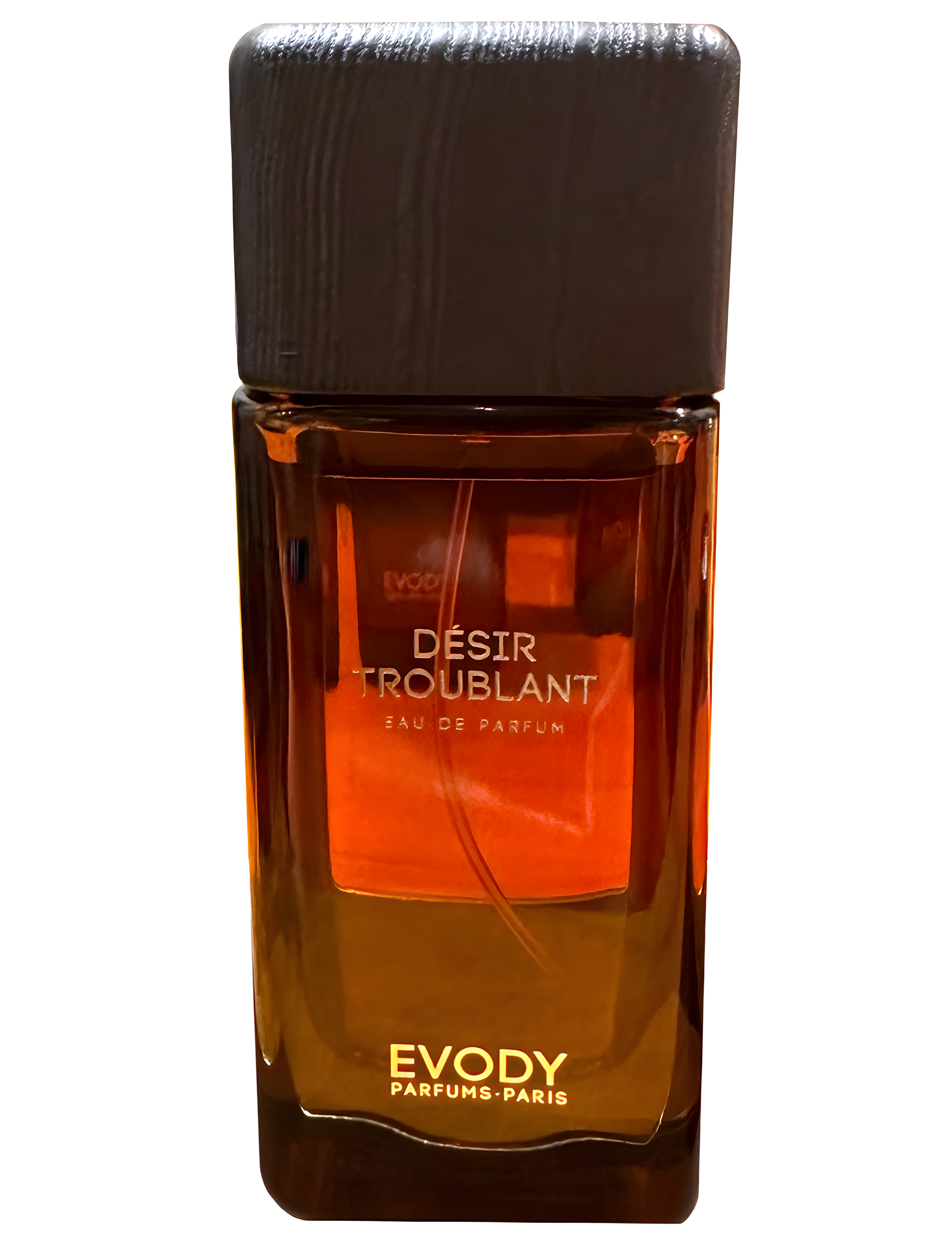 Desir Troublant by Evody Parfums
