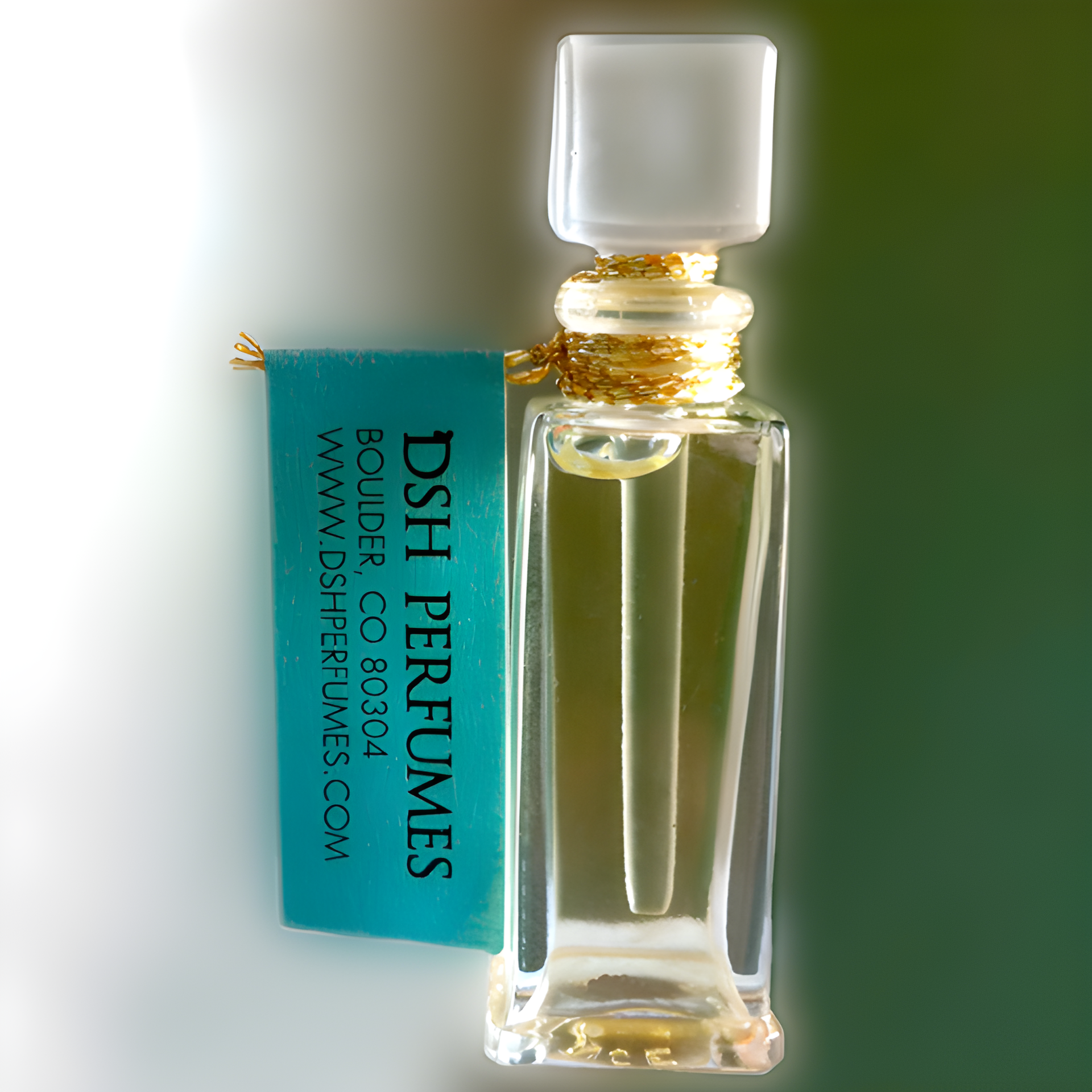 Become the Shaman by DSH Perfumes perfume bottle