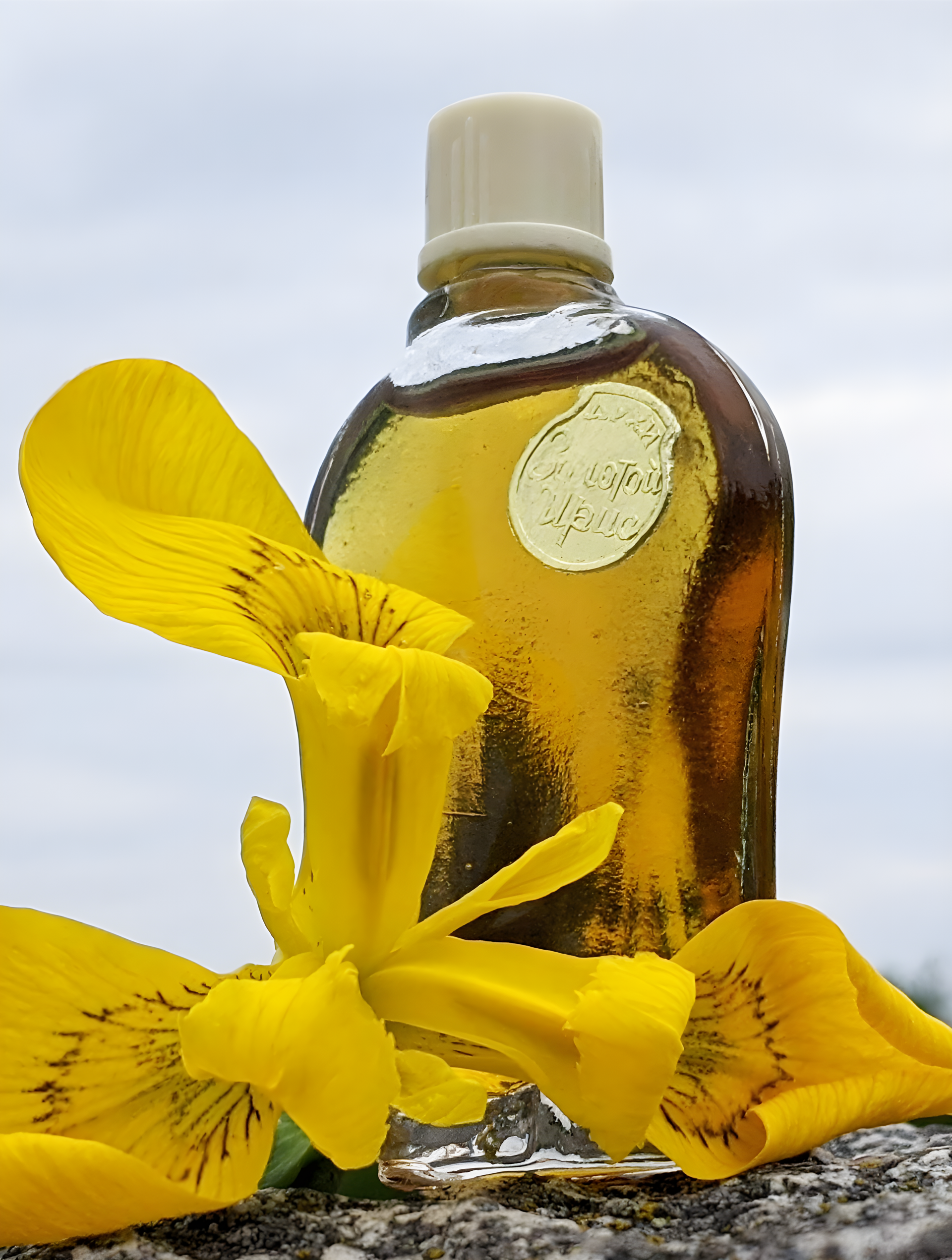 Золотой Ирис - Golden Iris by Алые Паруса (Alye Parusa) perfume bottle