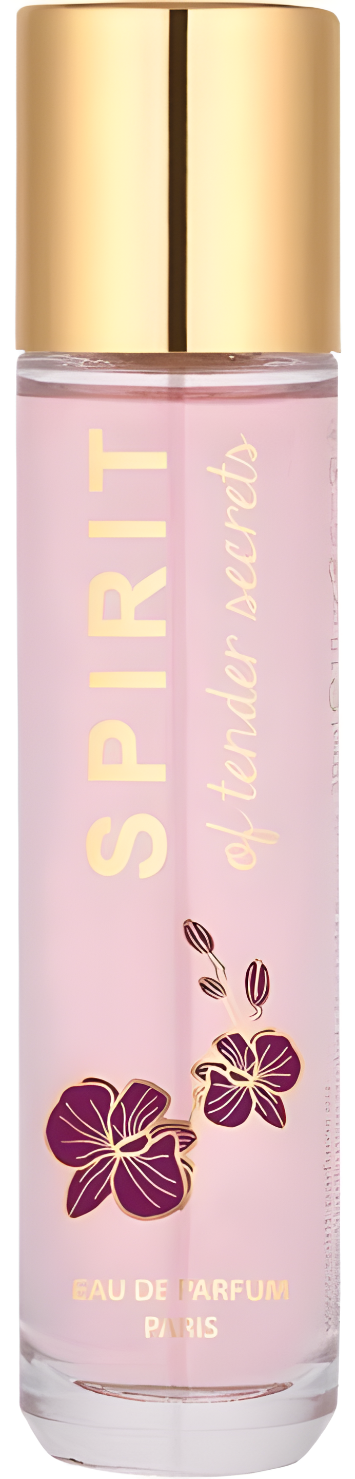 Spirit of Tender Secrets by Spirit perfume bottle