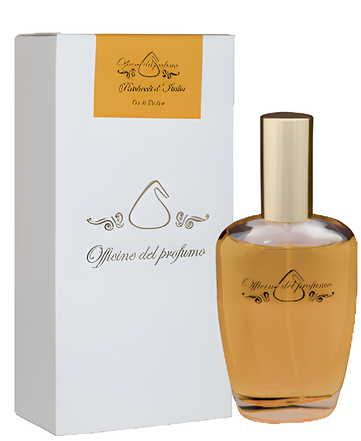 Patchouli d'Italia by Officine del Profumo perfume bottle