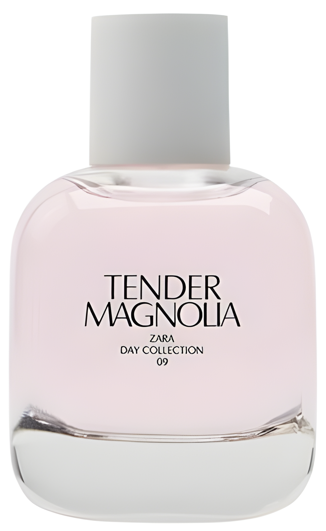 Tender Magnolia by Zara perfume bottle