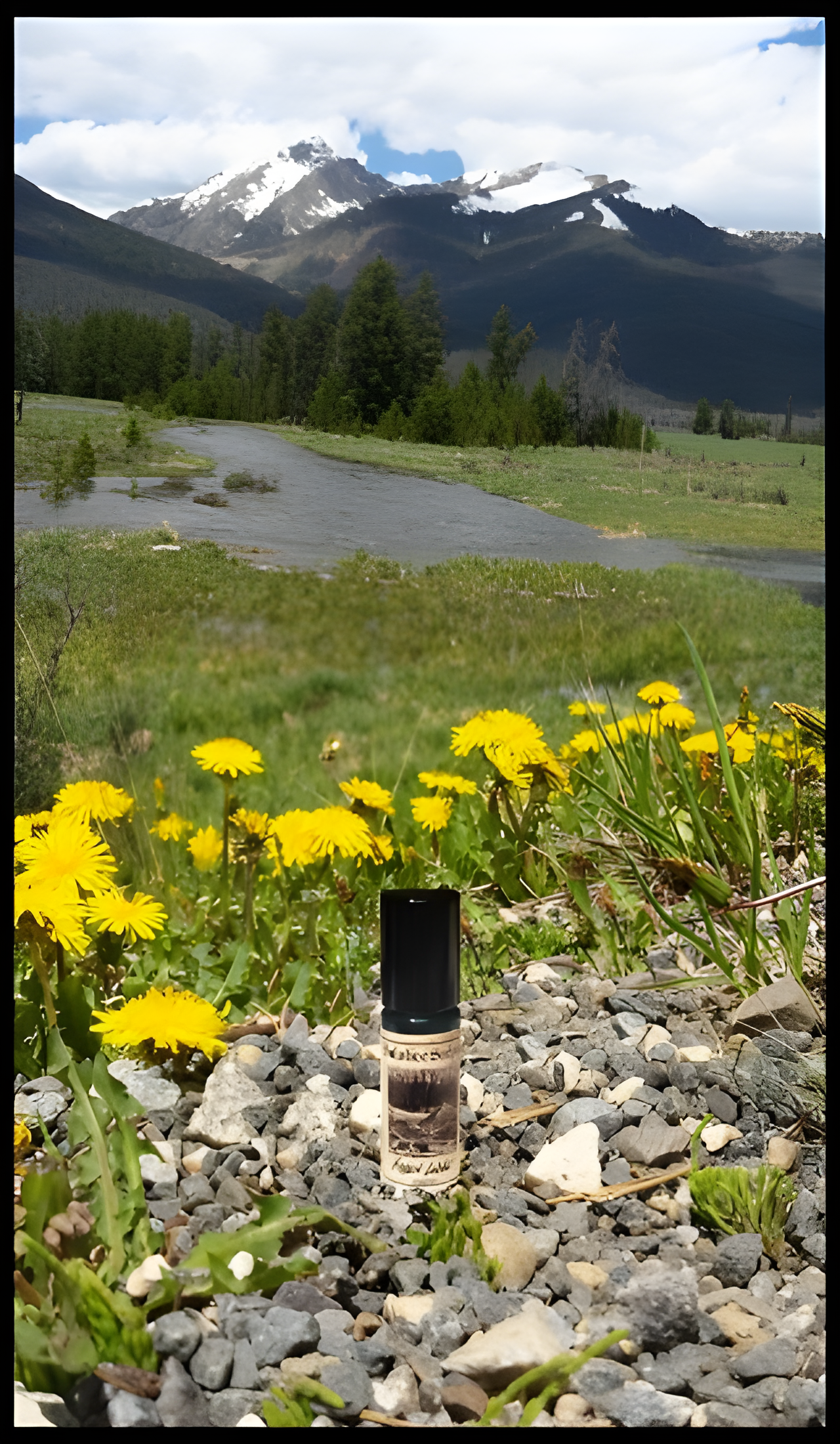 Hidden Lodge by Solstice Scents perfume bottle