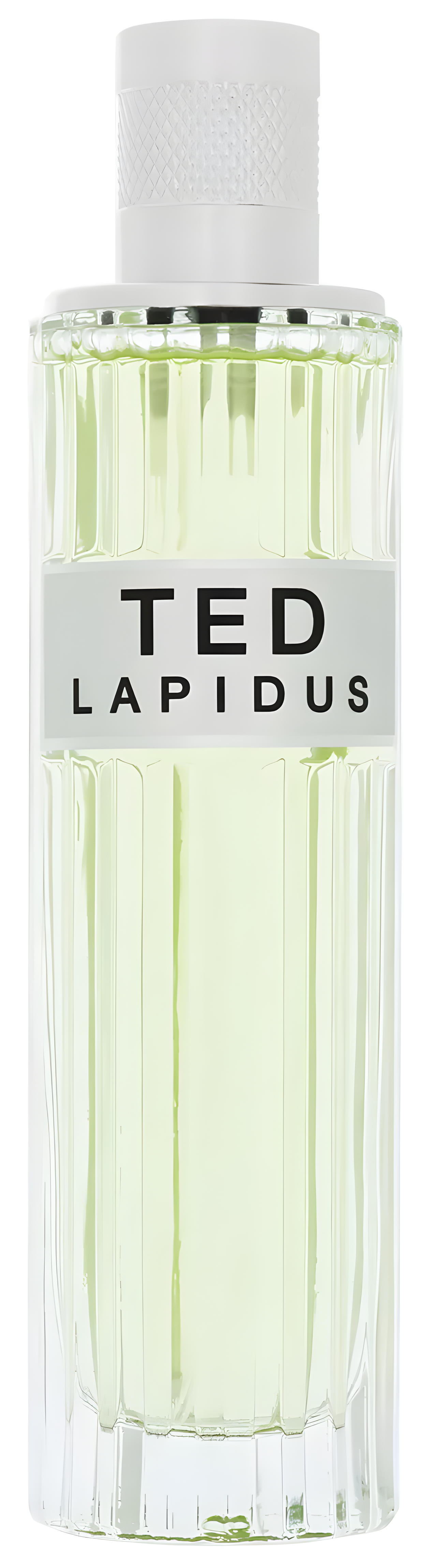 Ted by Ted Lapidus perfume bottle