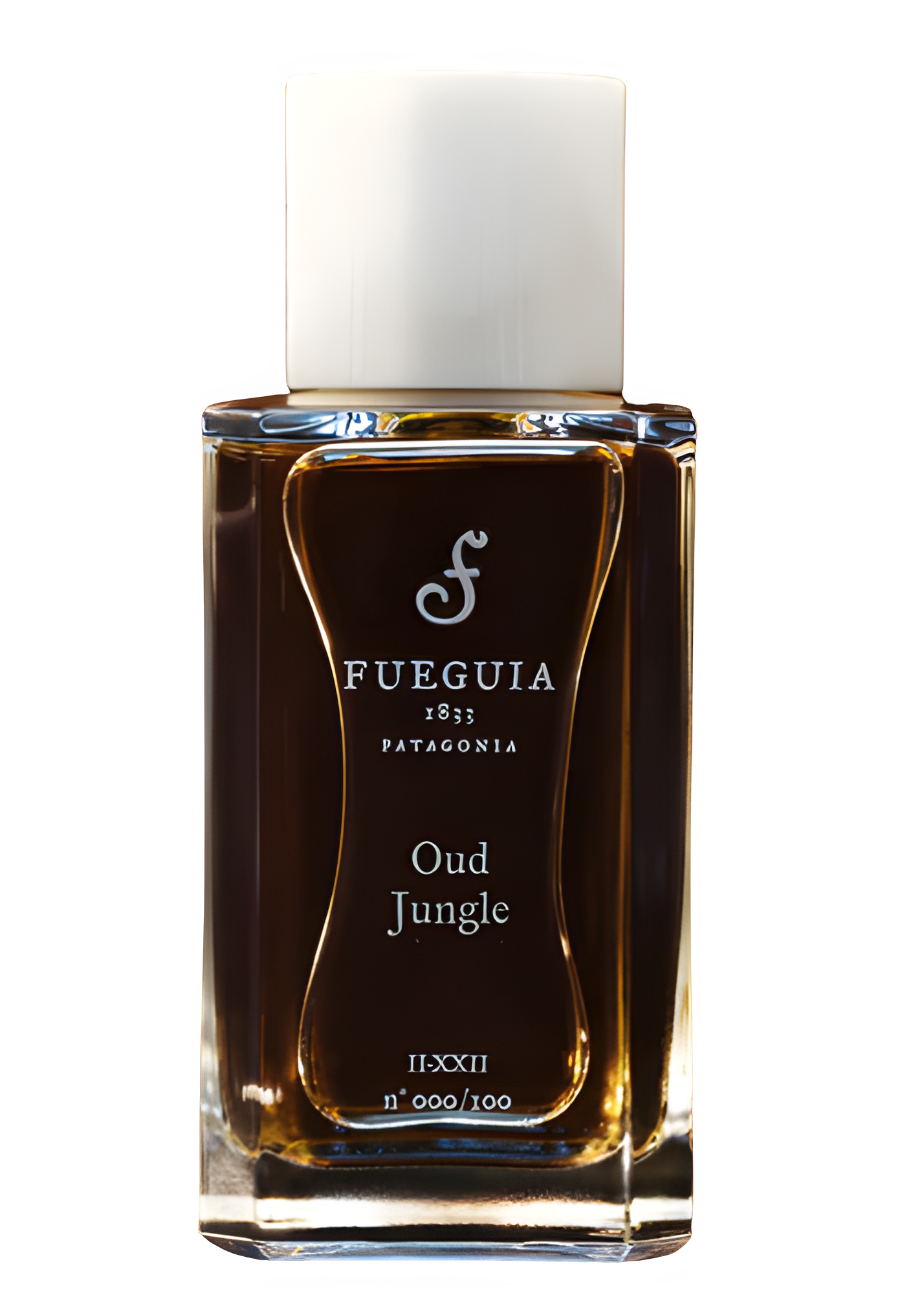 Oud Jungle by Fueguia 1833 perfume bottle