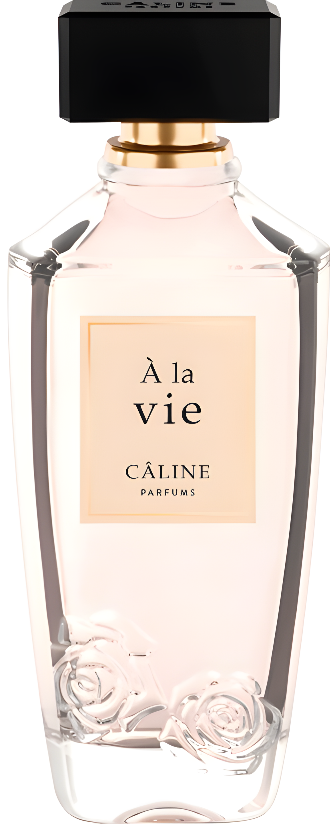 À La Vie by Câline perfume bottle