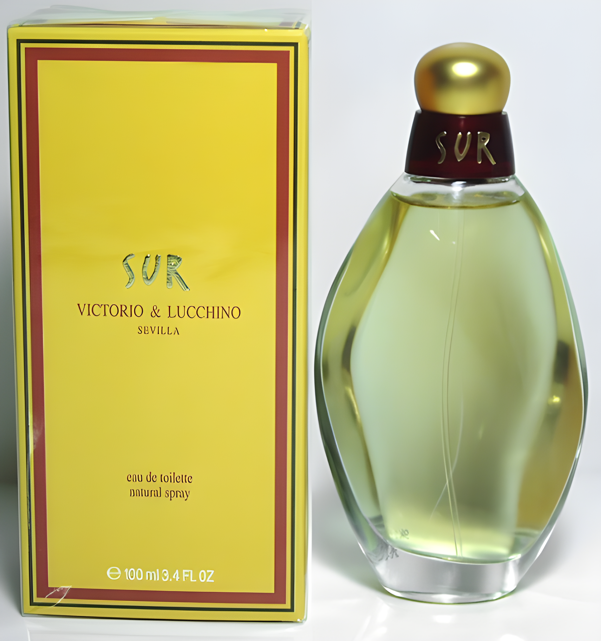 Sur by Victorio & Lucchino perfume bottle