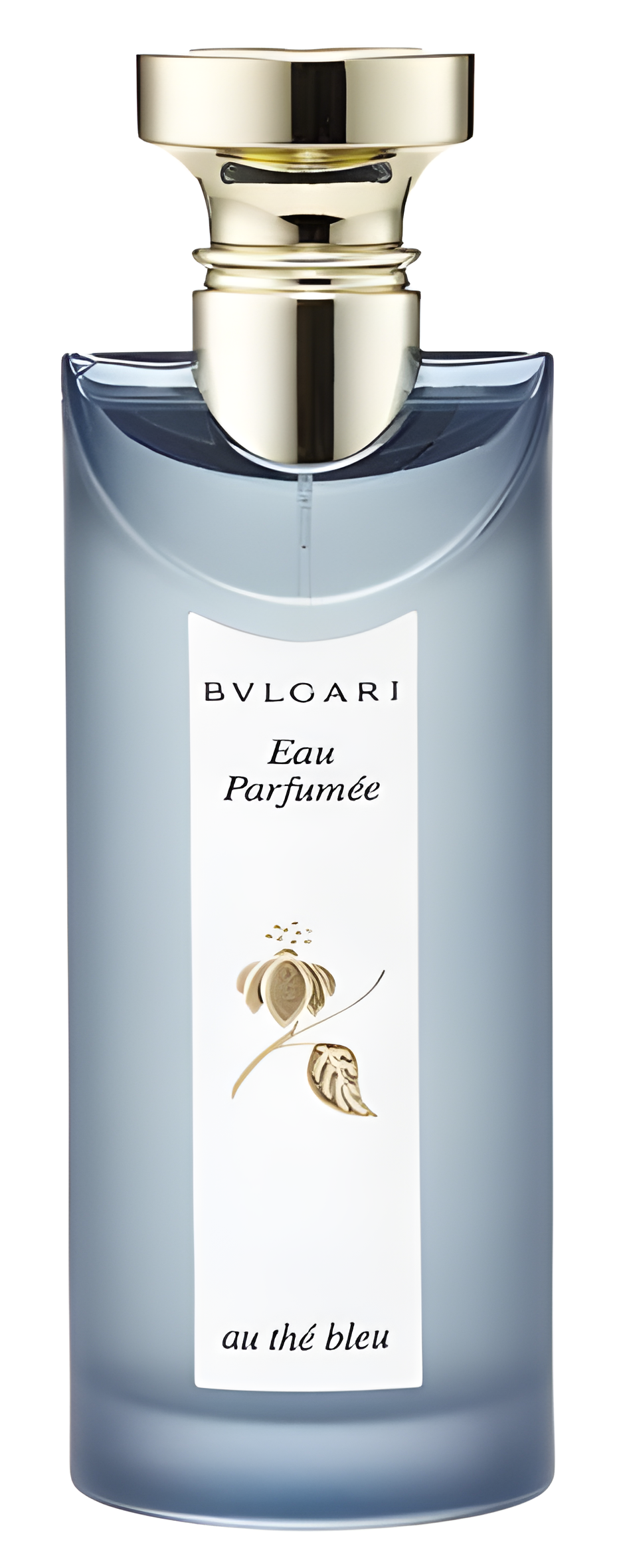 Eau Parfumee Au the Bleu by Bvlgari perfume bottle