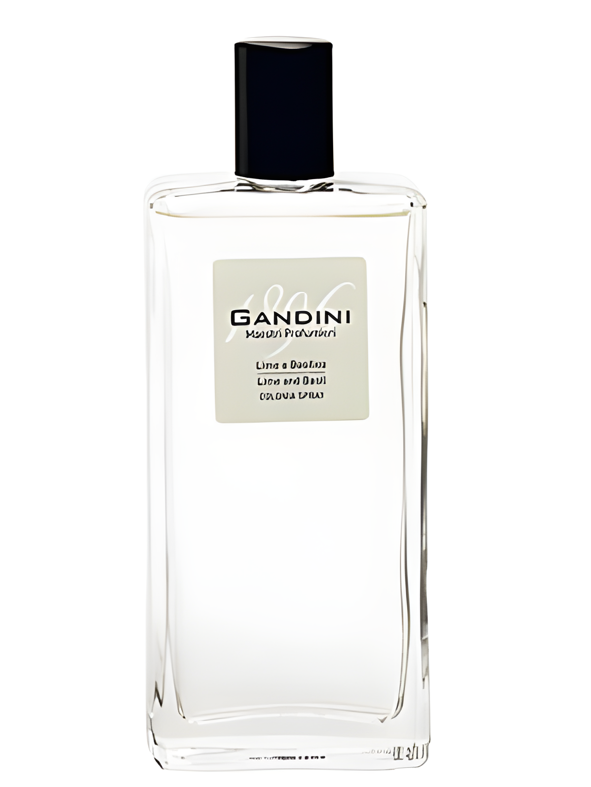 Lime and Basil by Gandini 1896 perfume bottle