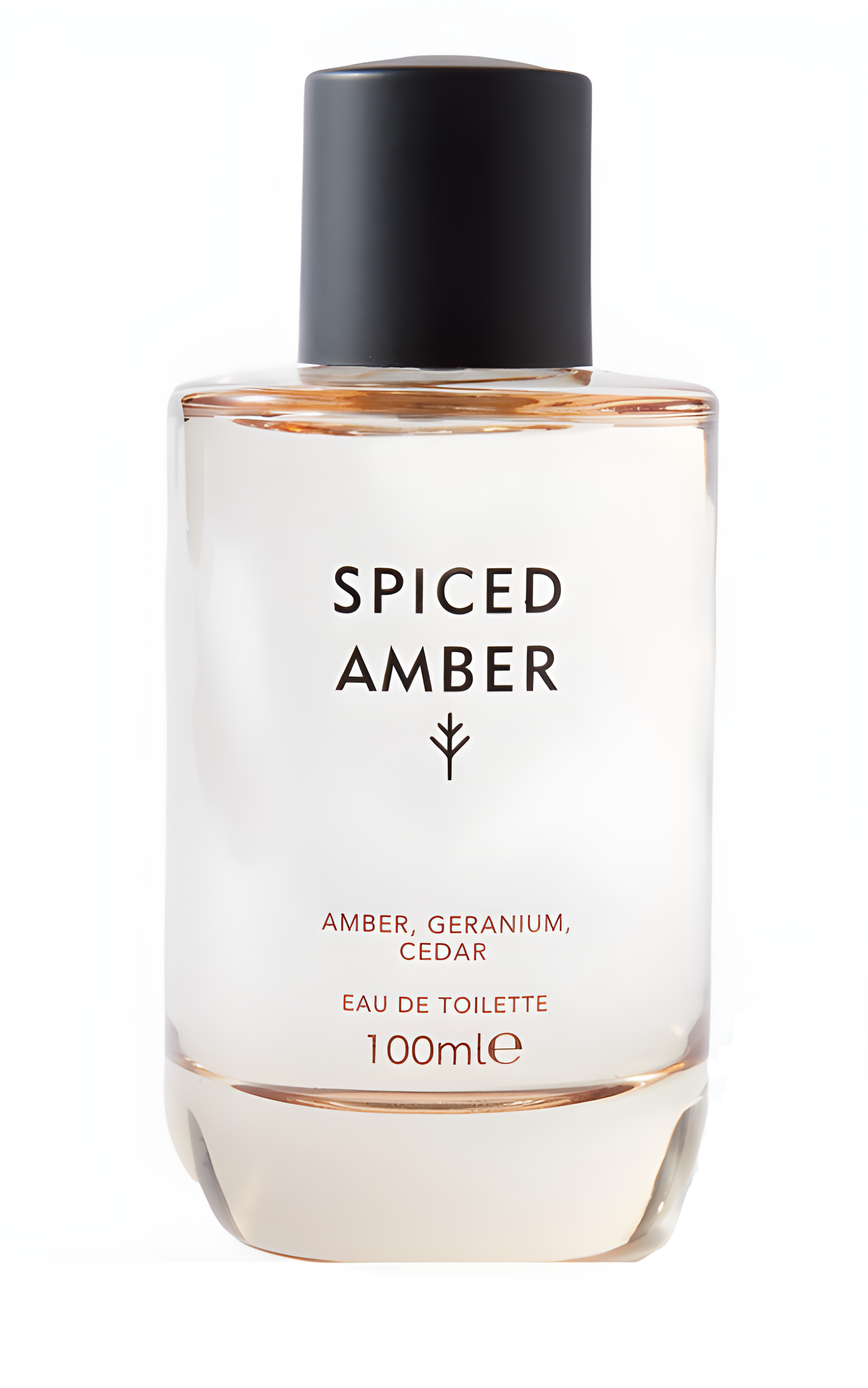 Spiced Amber by Marks & Spencer perfume bottle