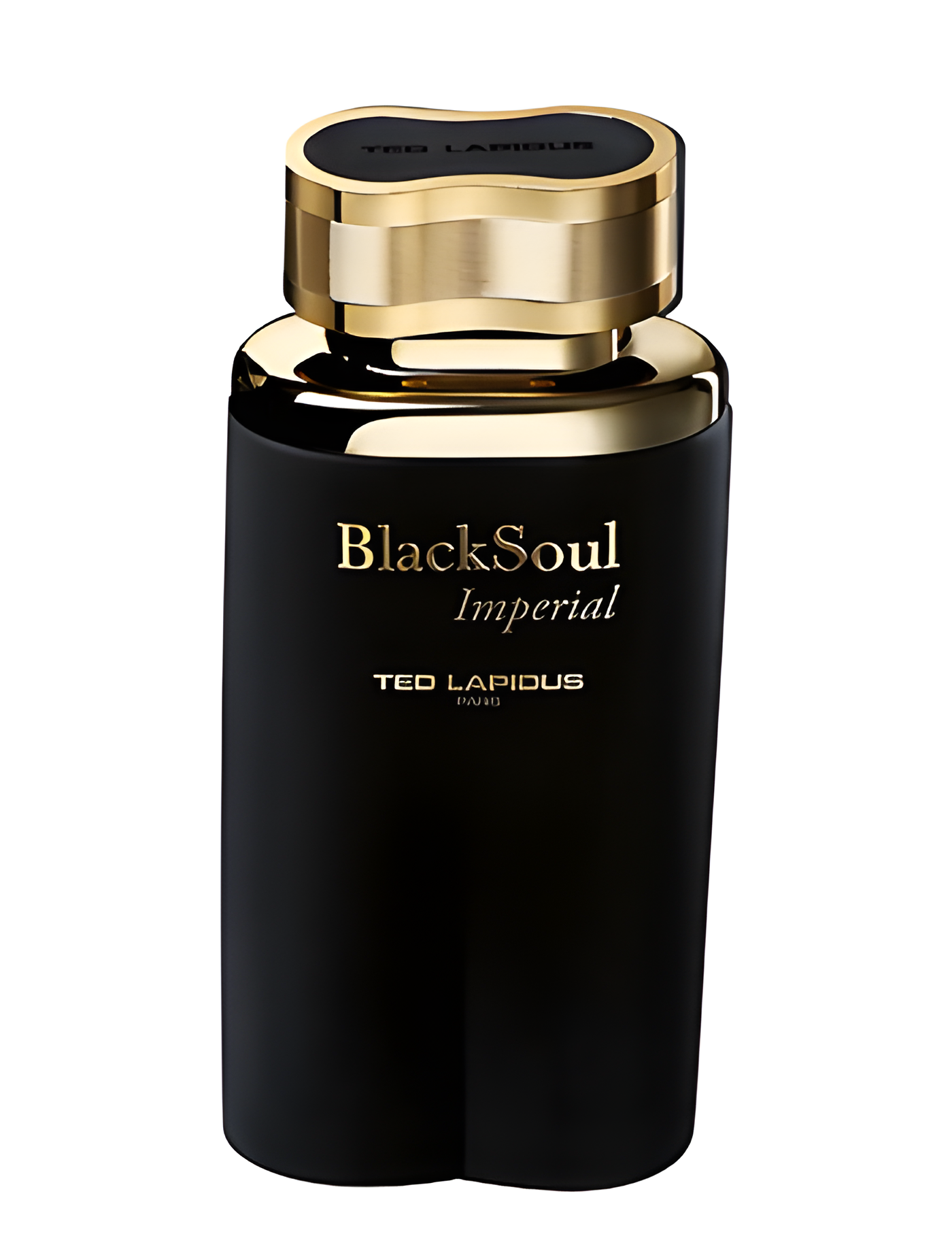 Black Soul Imperial by Ted Lapidus perfume bottle