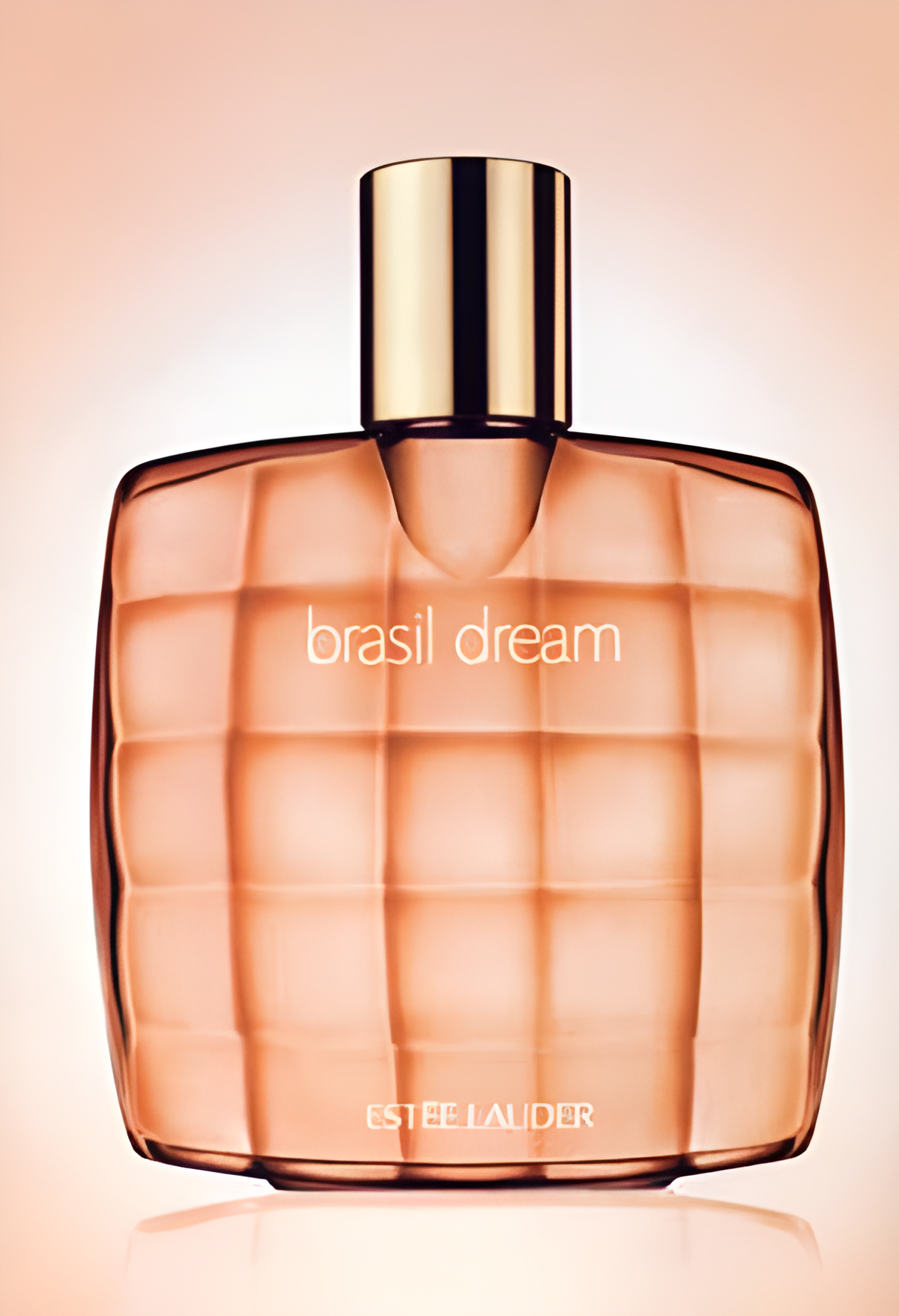 Brasil Dream by Estée Lauder perfume bottle