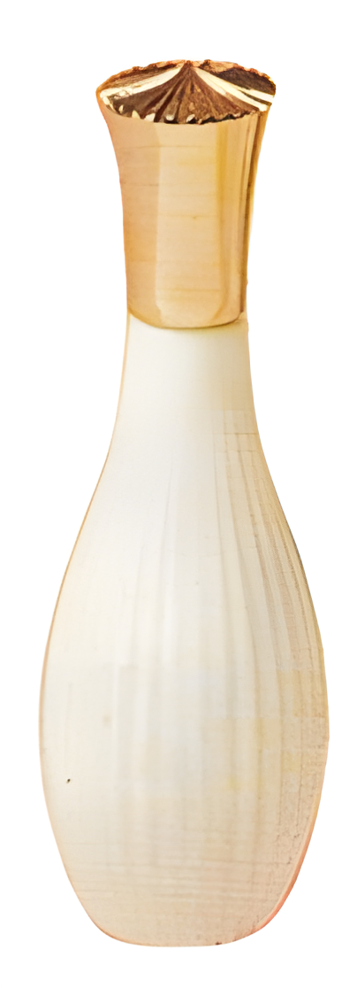 Ballad by Avon perfume bottle