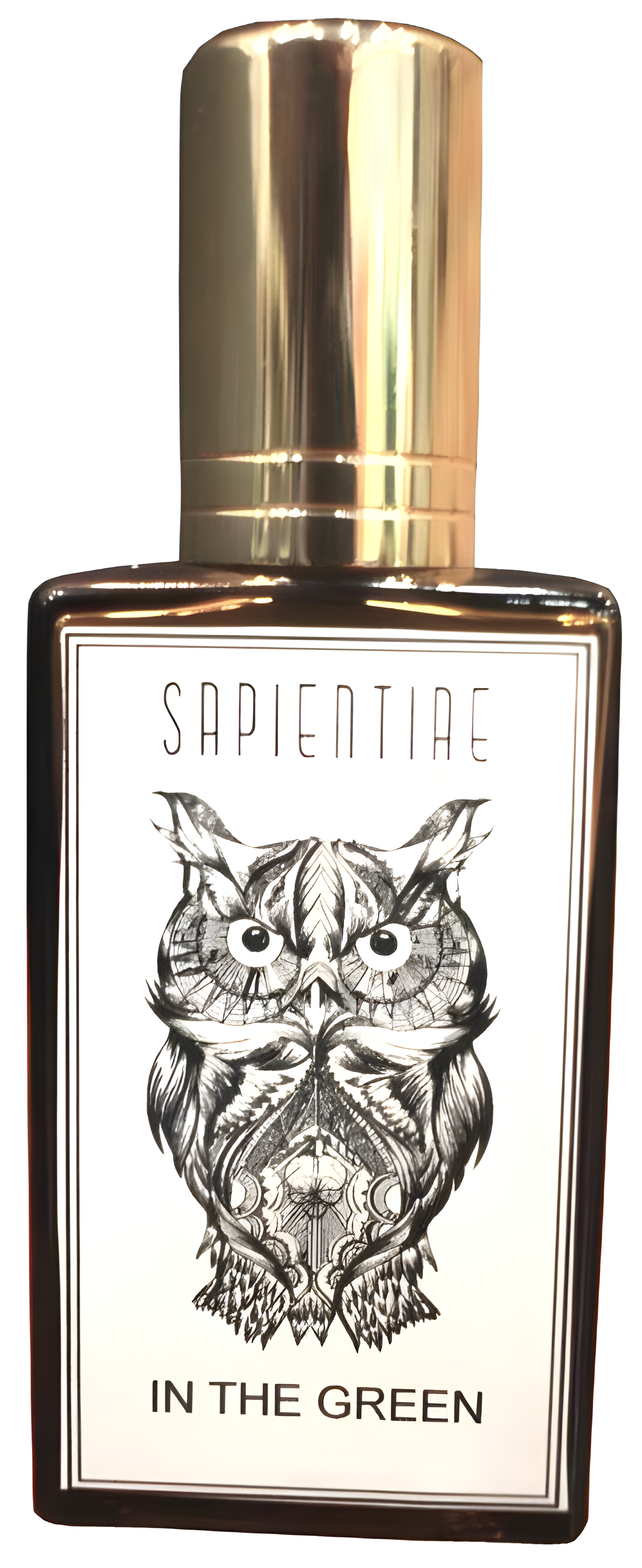 In the Green by Sapientiae Niche perfume bottle
