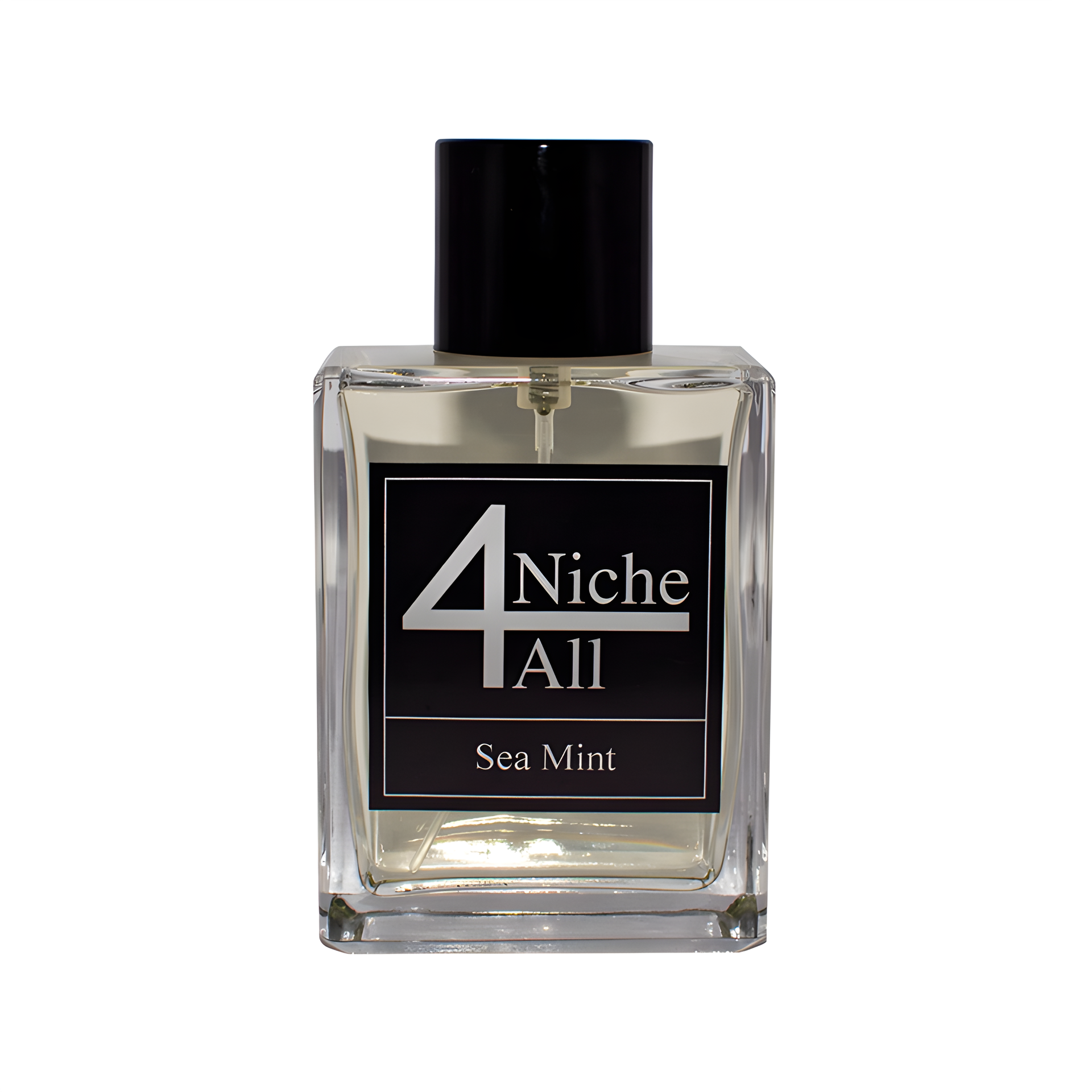 Sea Mint by Niche4All perfume bottle