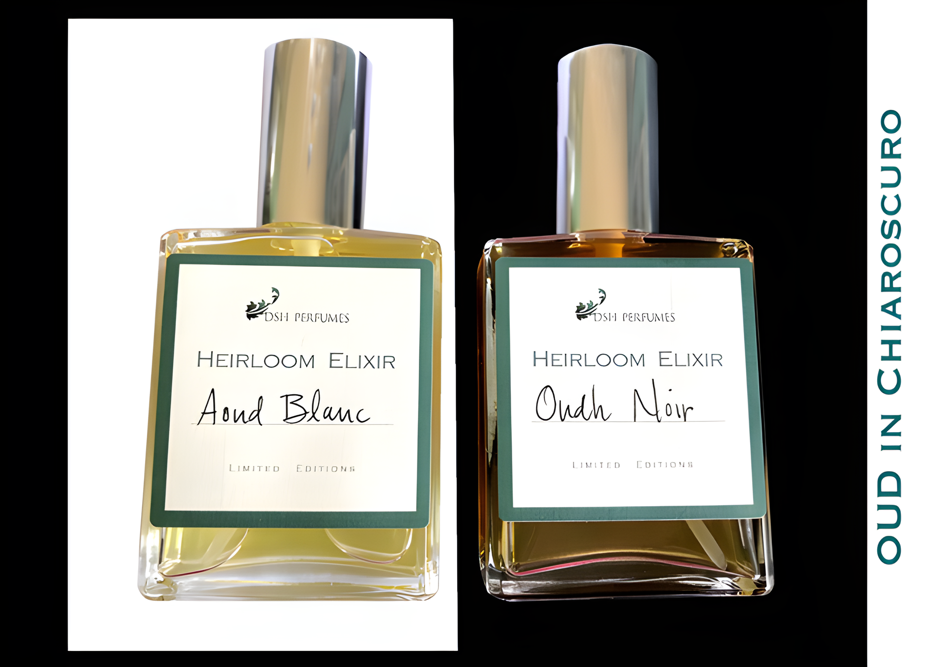 Oud in Chiaroscuro: Oudh Noir by DSH Perfumes perfume bottle